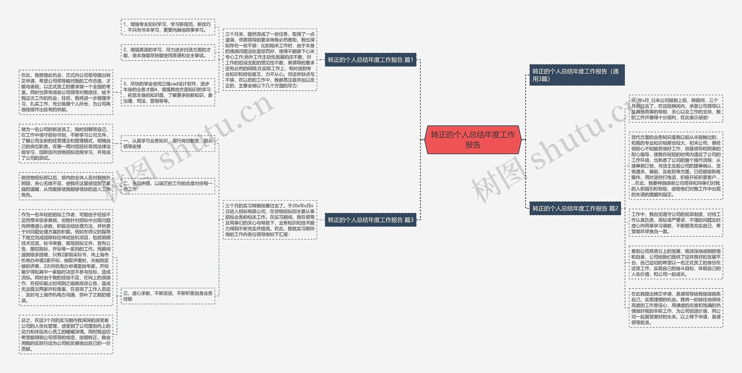 转正的个人总结年度工作报告思维导图