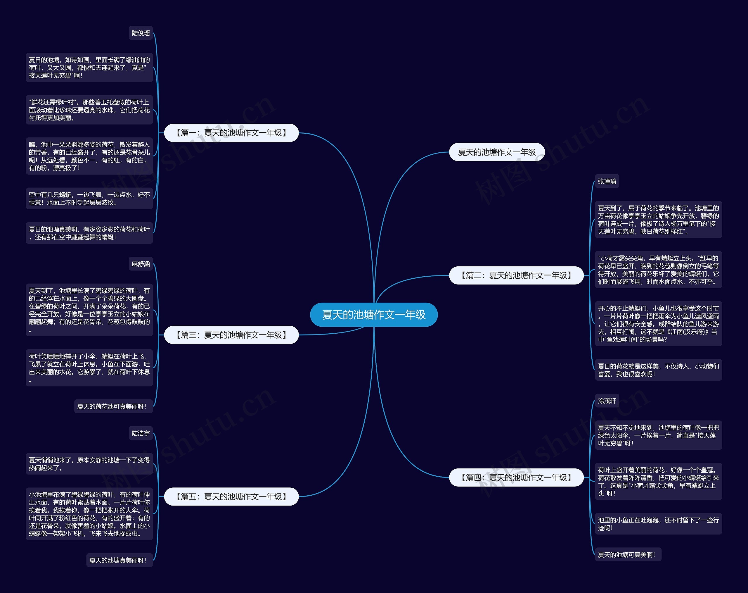 夏天的池塘作文一年级思维导图