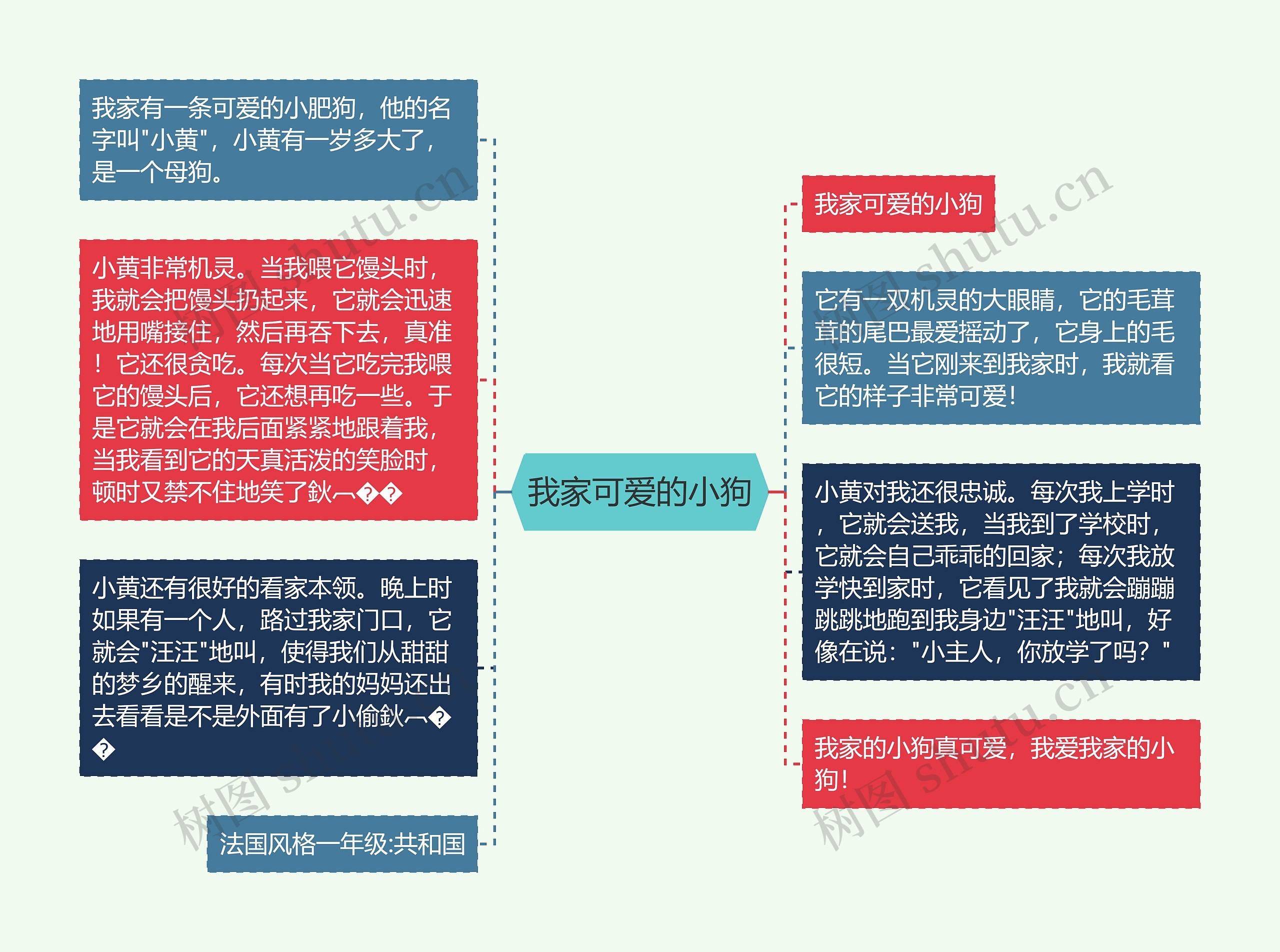 我家可爱的小狗思维导图