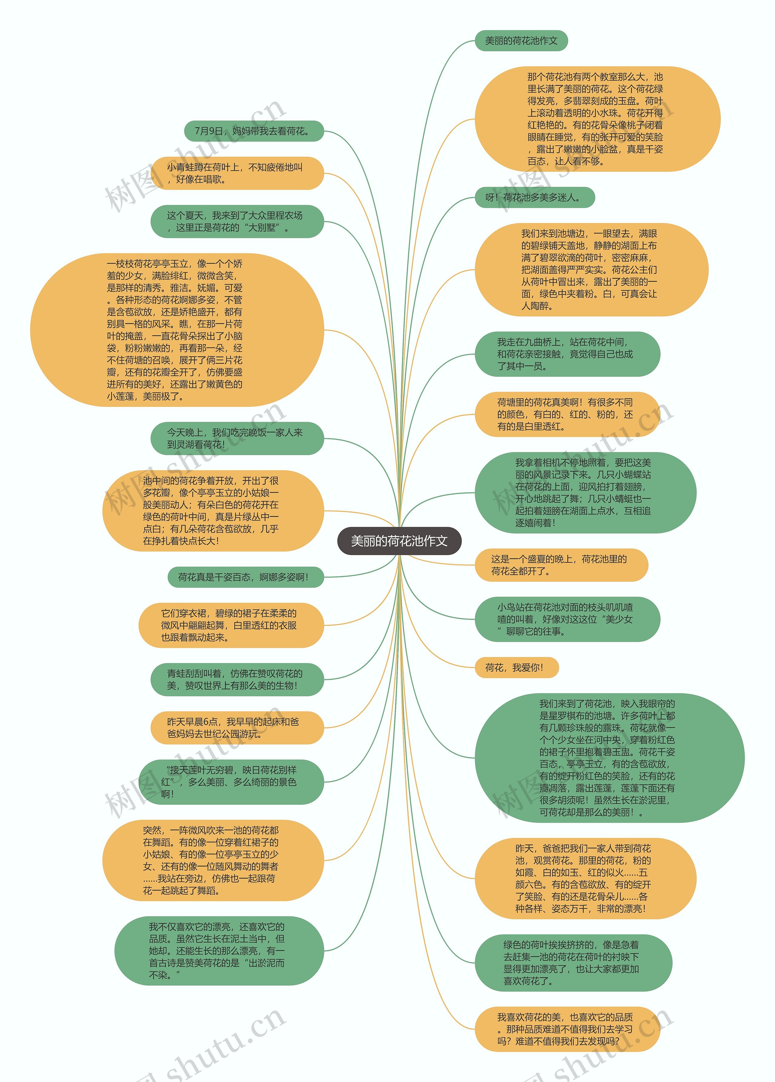美丽的荷花池作文思维导图