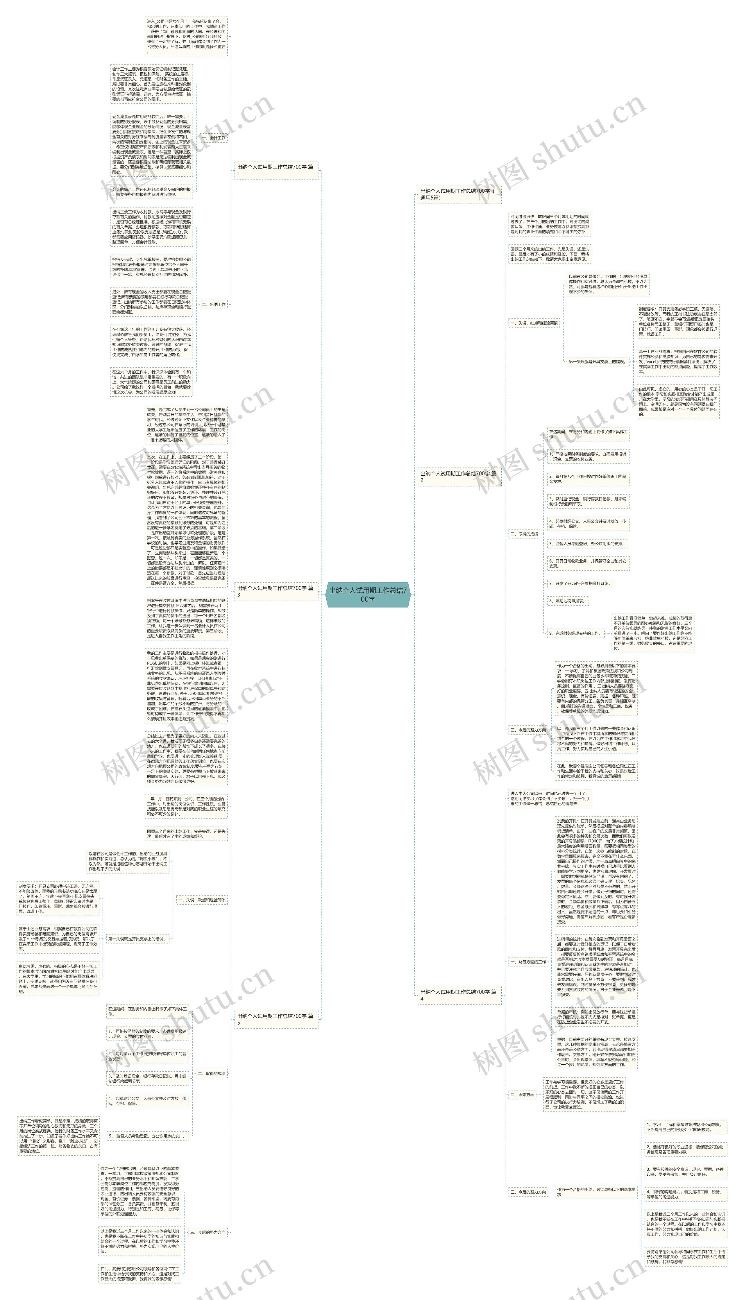 出纳个人试用期工作总结700字