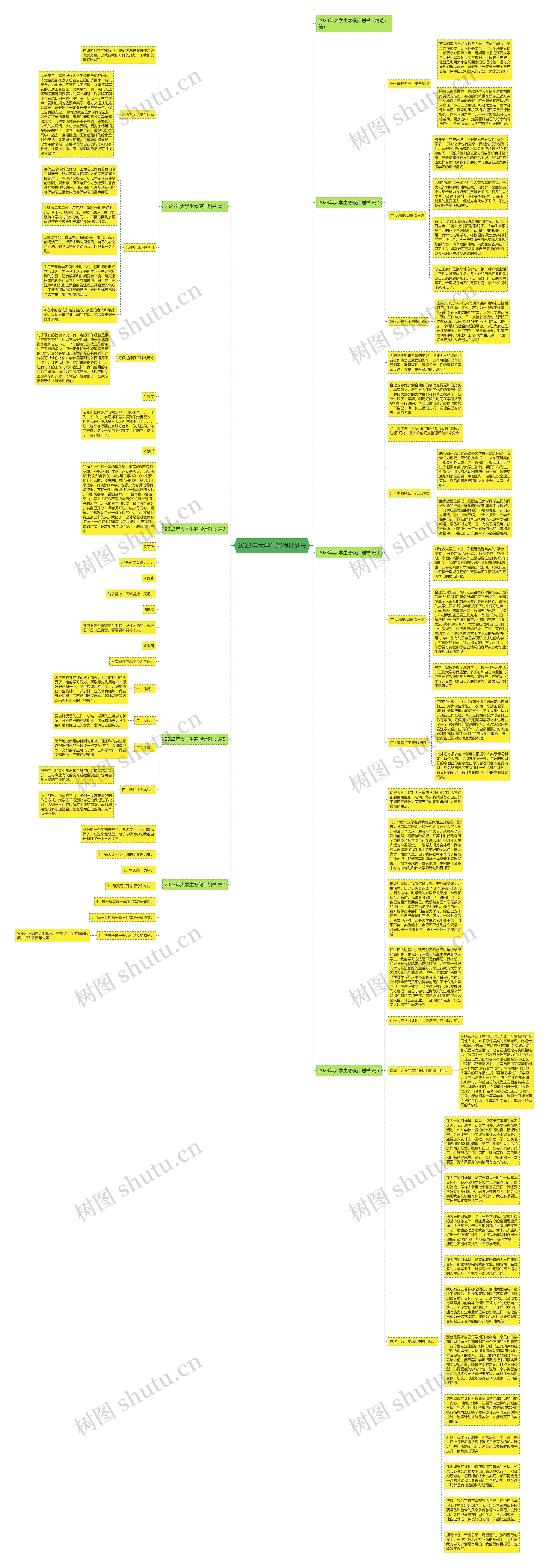 2023年大学生寒假计划书思维导图