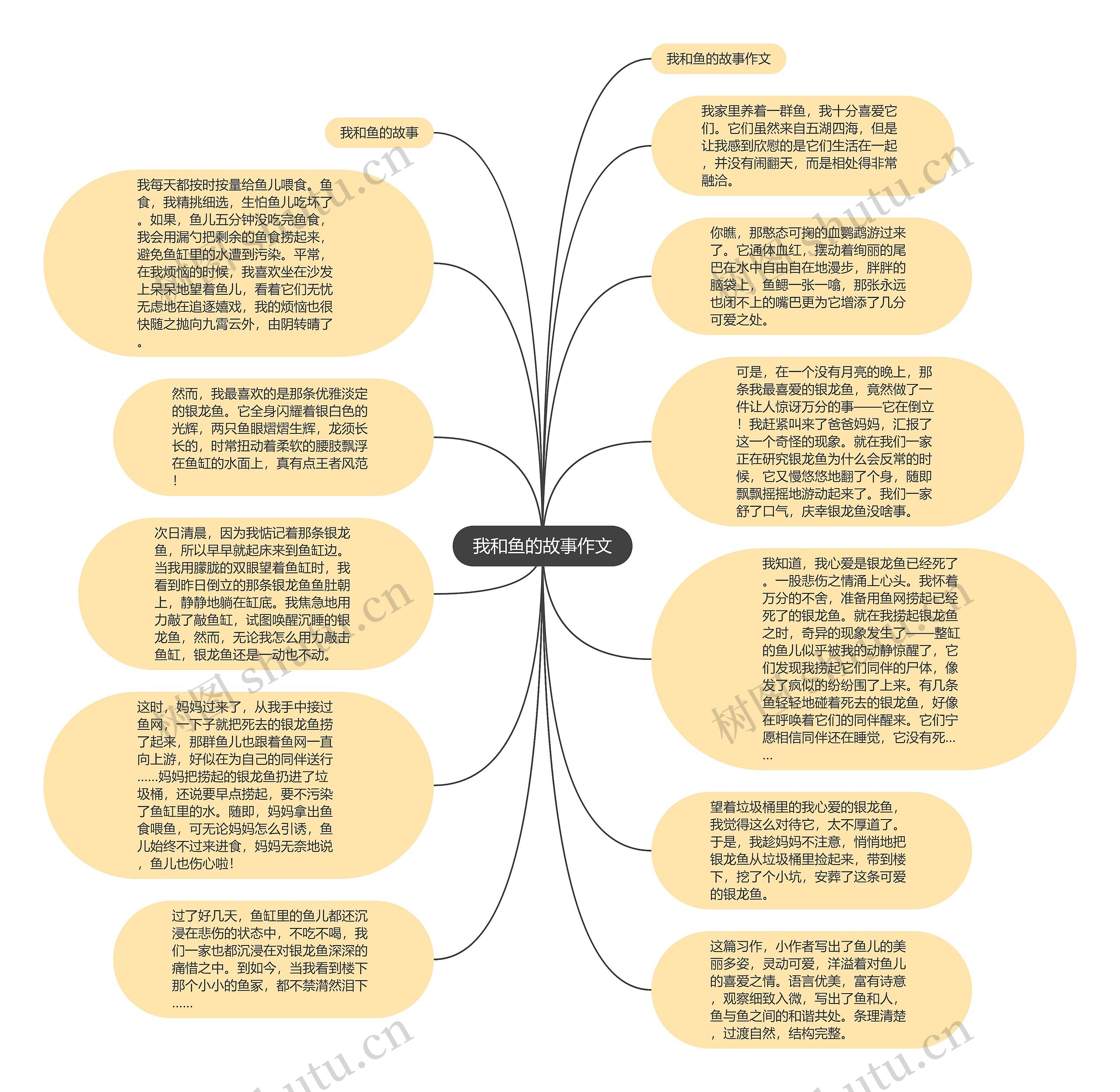 我和鱼的故事作文思维导图