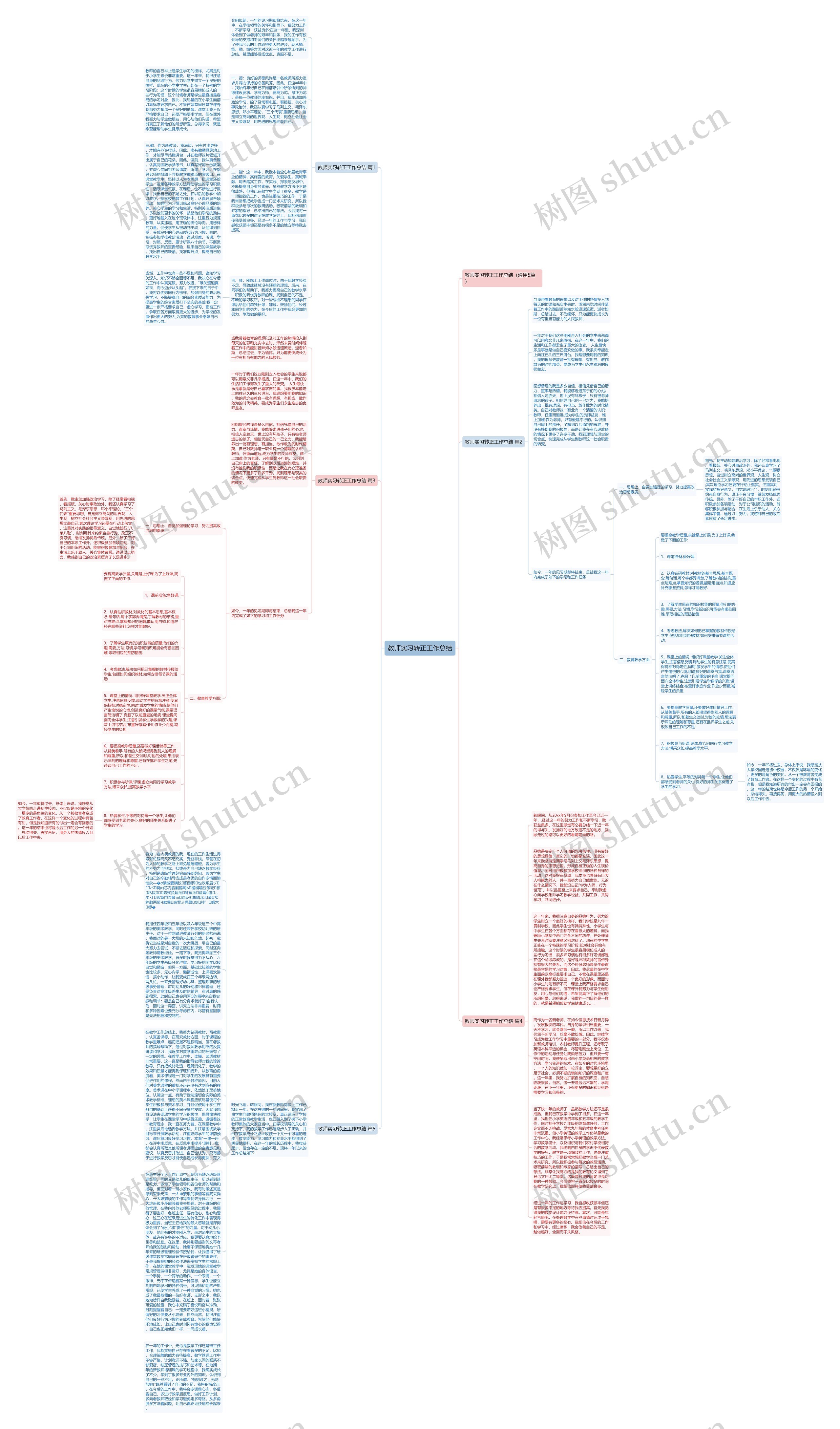 教师实习转正工作总结思维导图