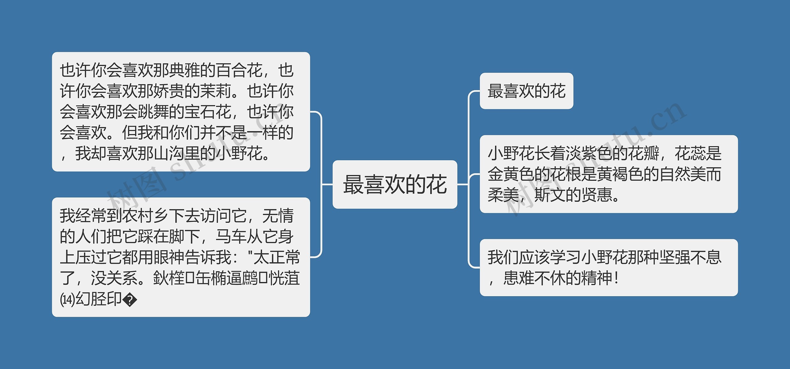 最喜欢的花