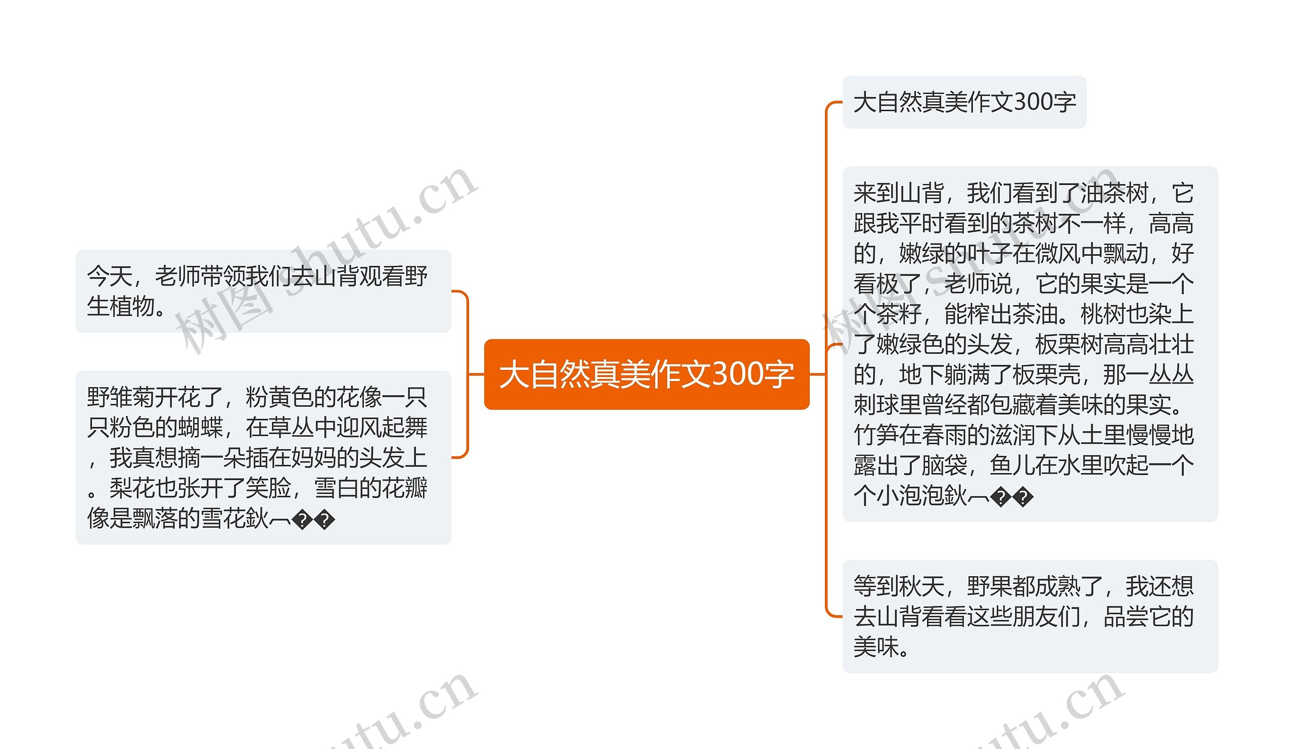 大自然真美作文300字思维导图