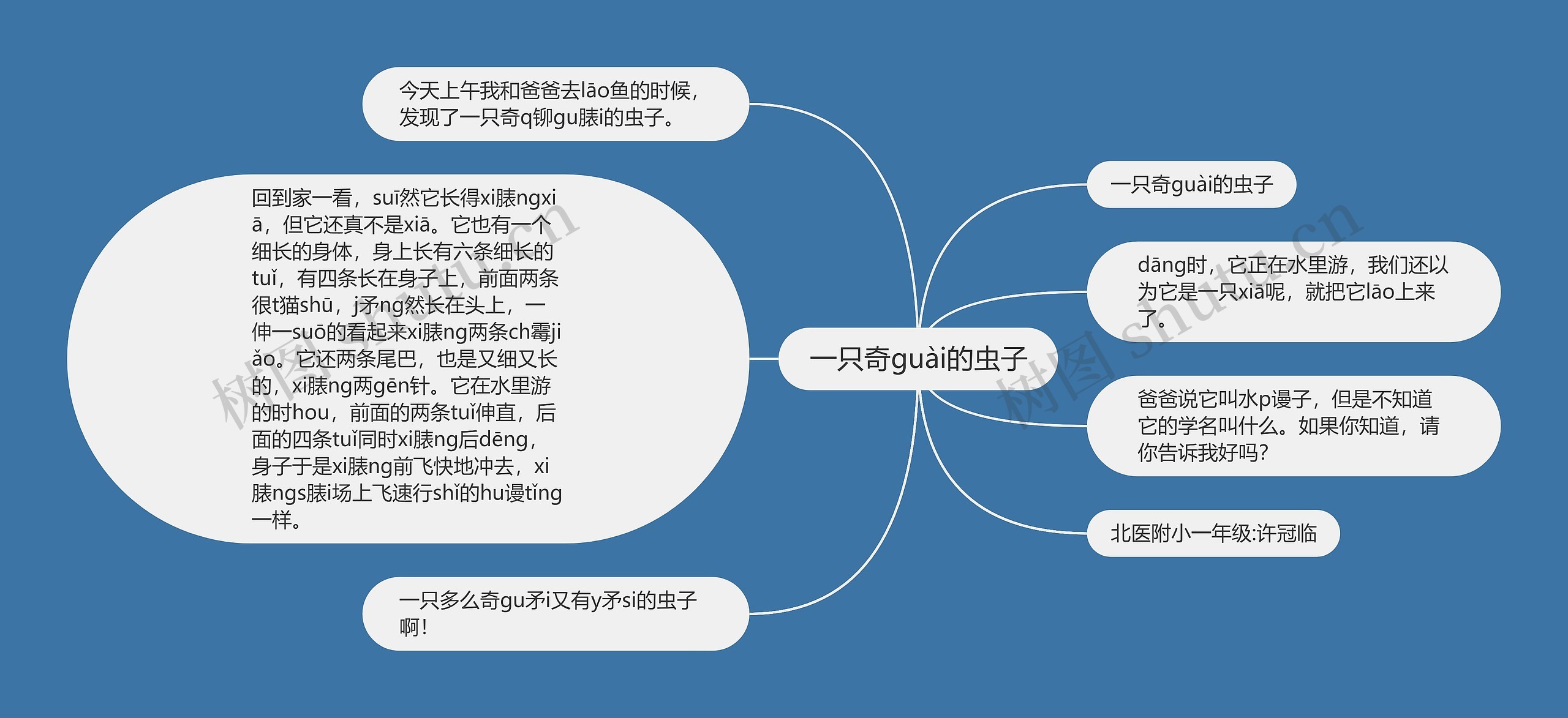 一只奇guài的虫子思维导图