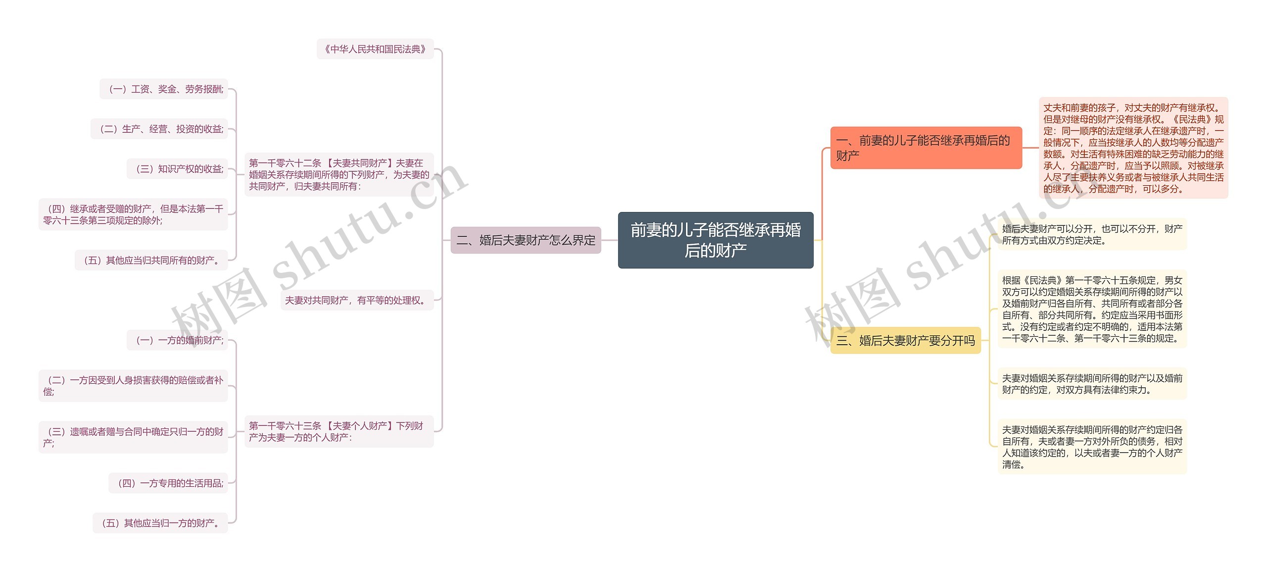 前妻的儿子能否继承再婚后的财产思维导图