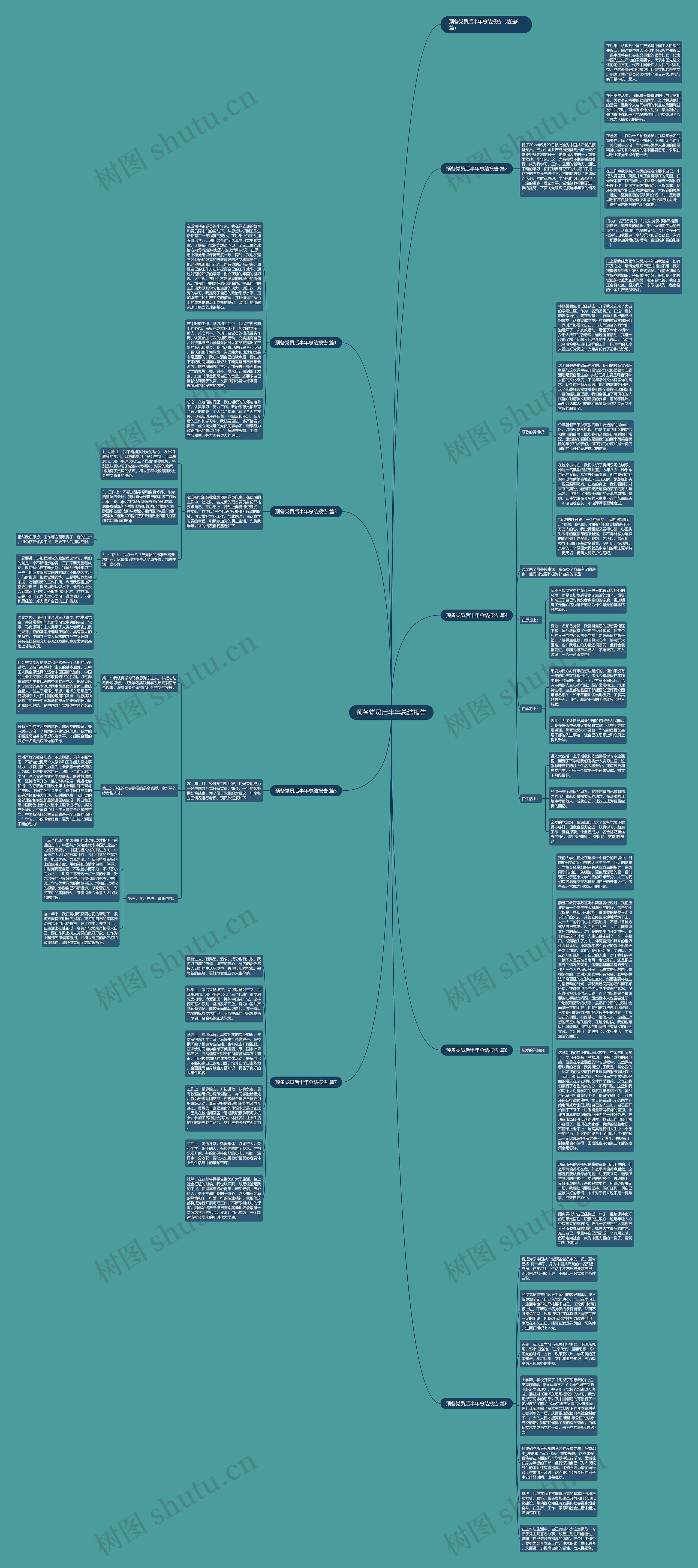 预备党员后半年总结报告思维导图