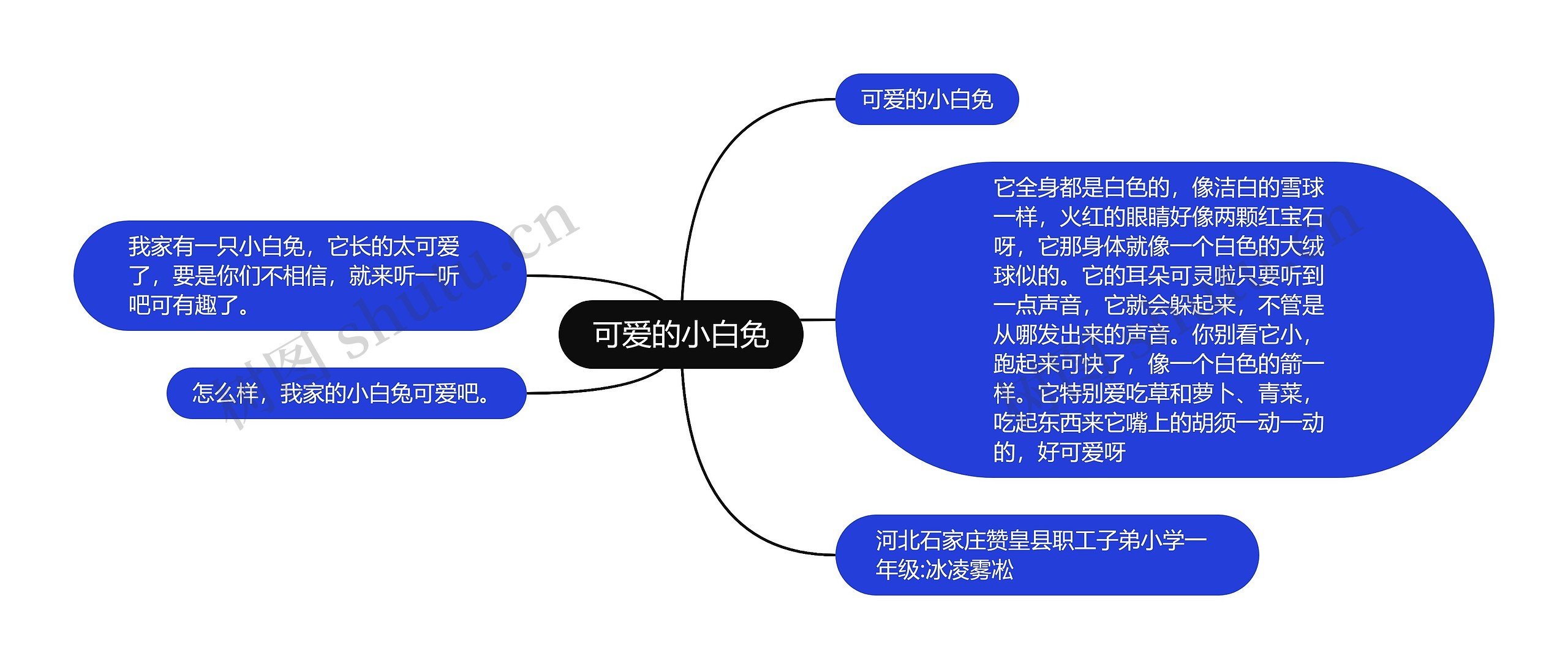 可爱的小白免