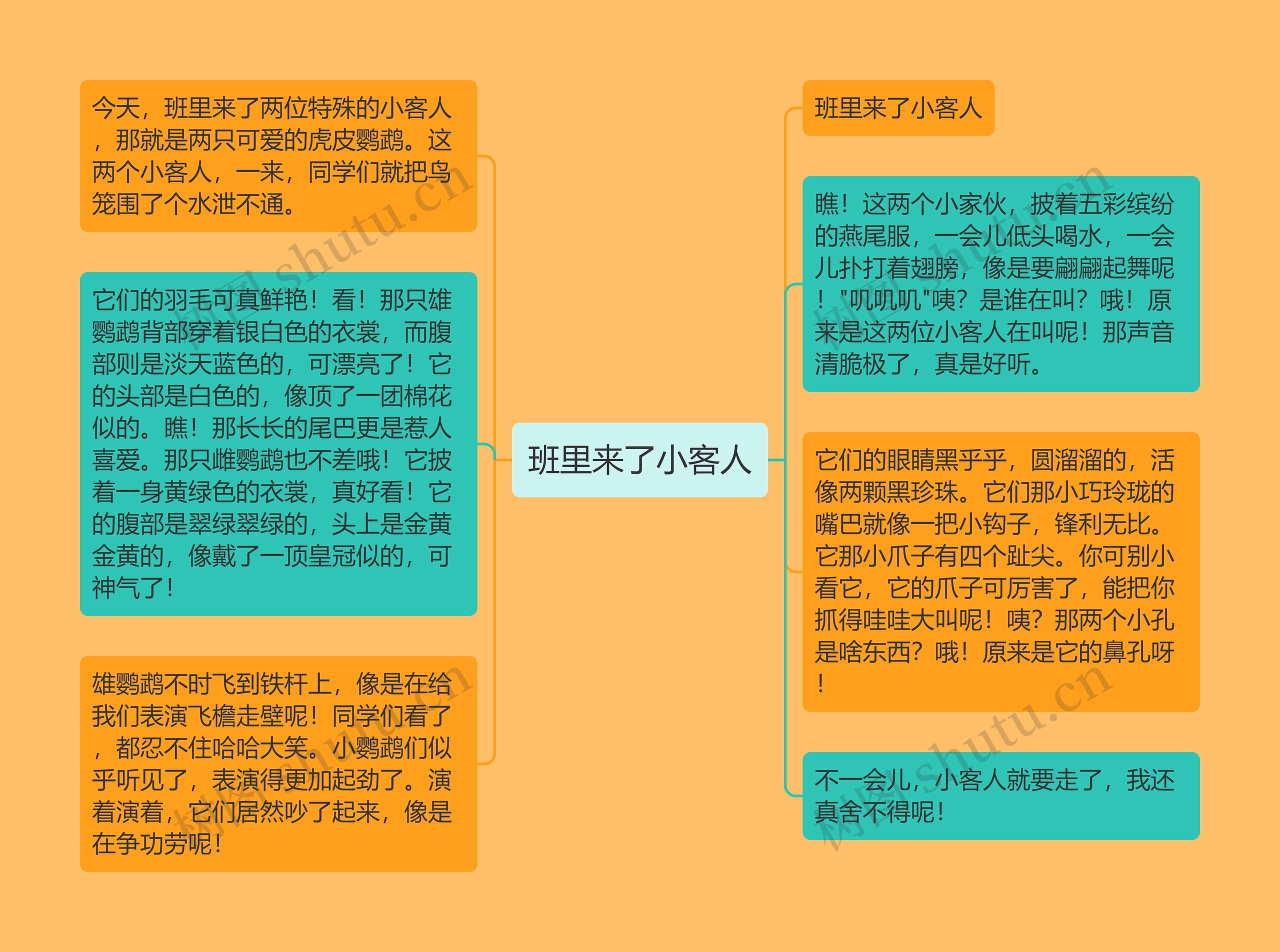 班里来了小客人