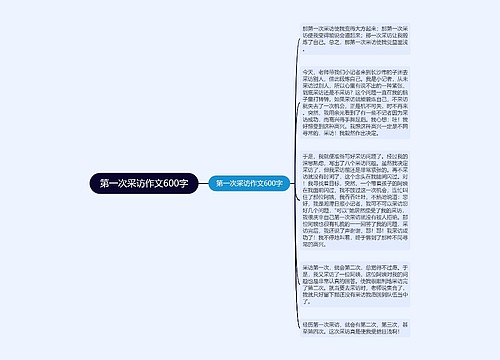 第一次采访作文600字 第一次采访作文600字