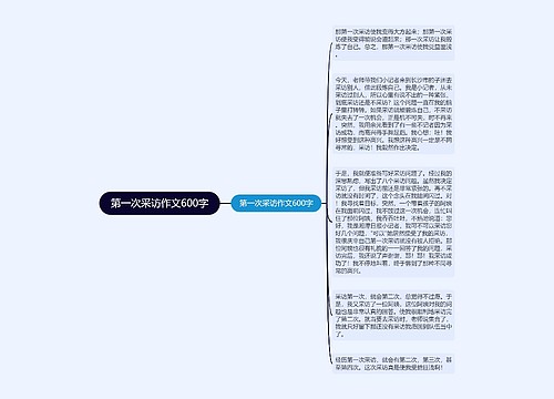 第一次采访作文600字