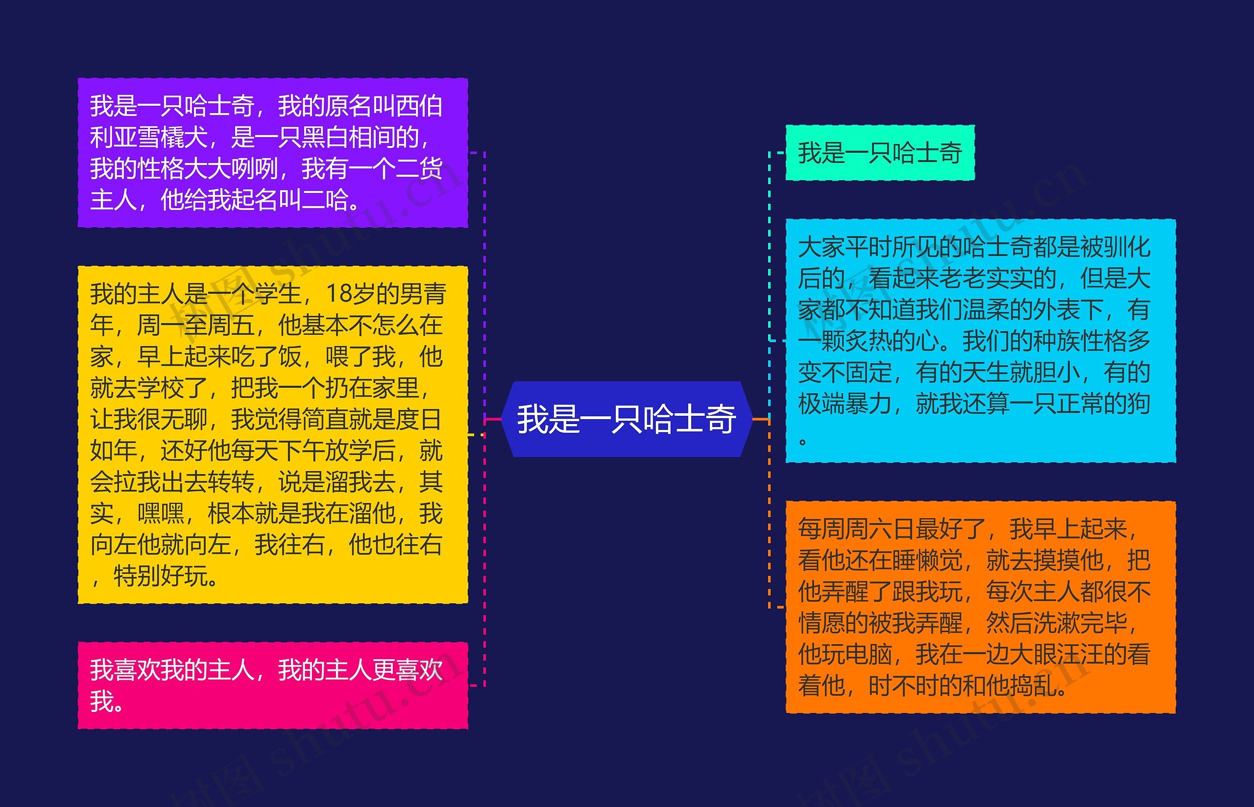 我是一只哈士奇 我是一只哈士奇