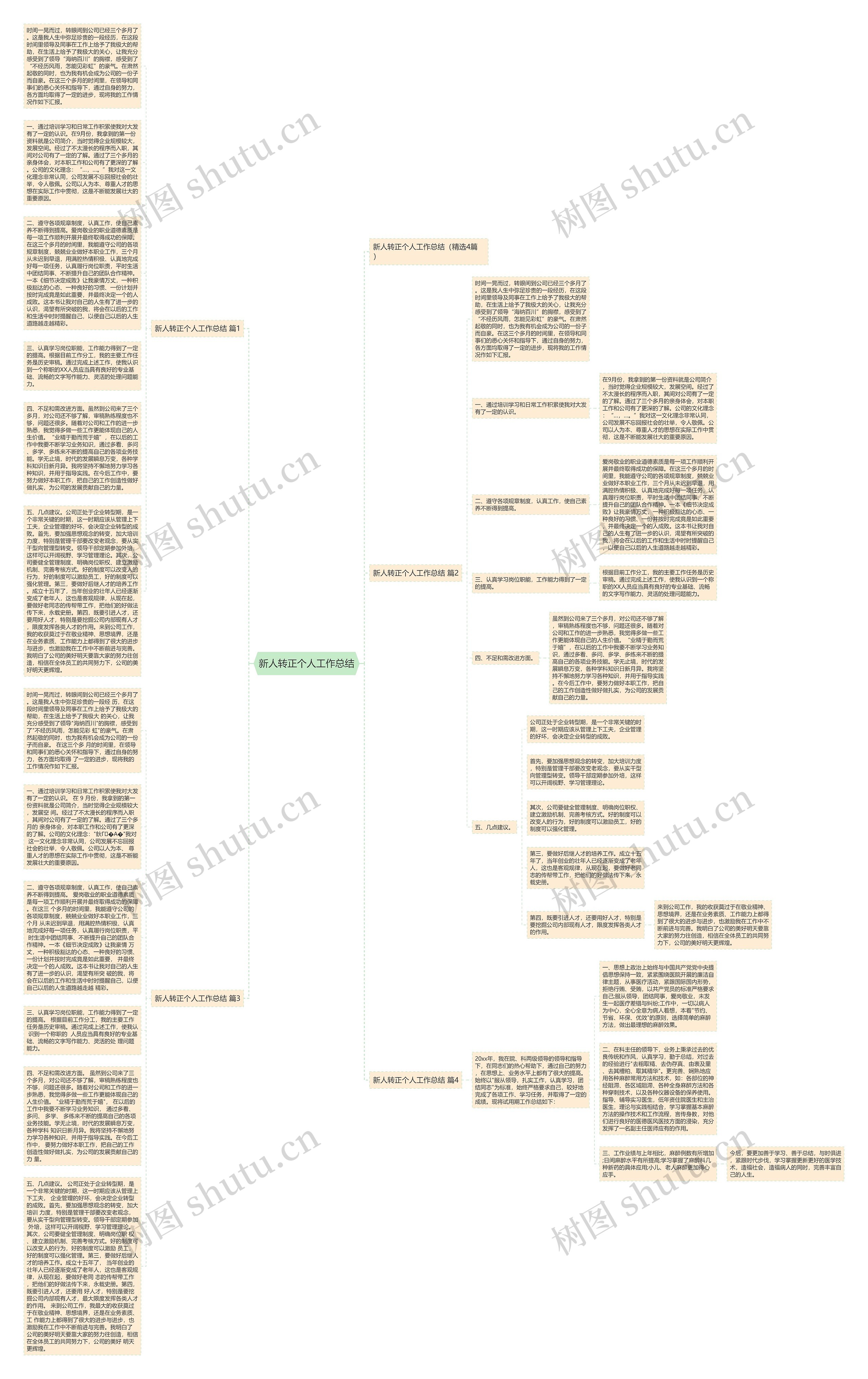 新人转正个人工作总结思维导图