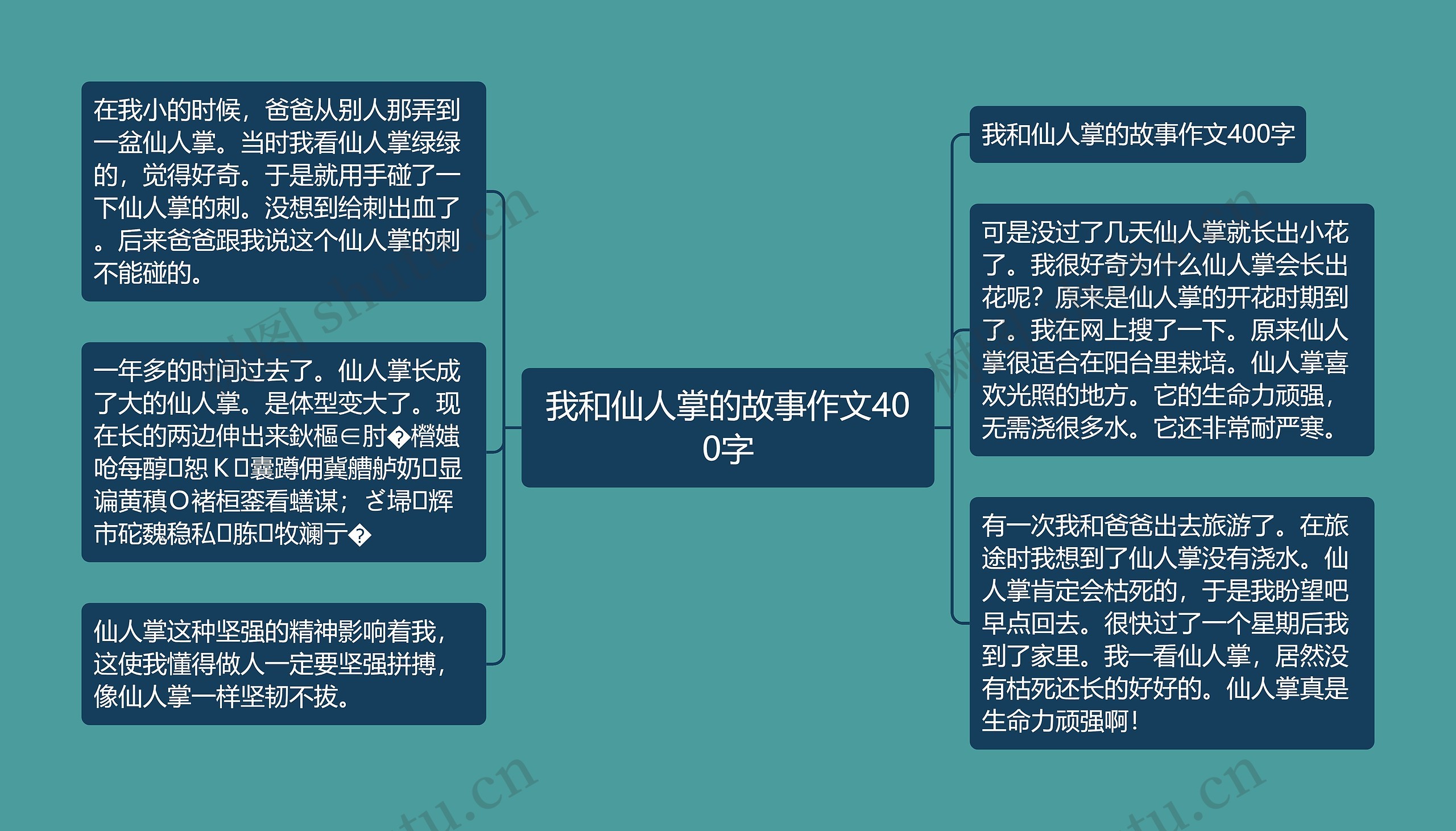 我和仙人掌的故事作文400字 我和仙人掌的故事作文400字