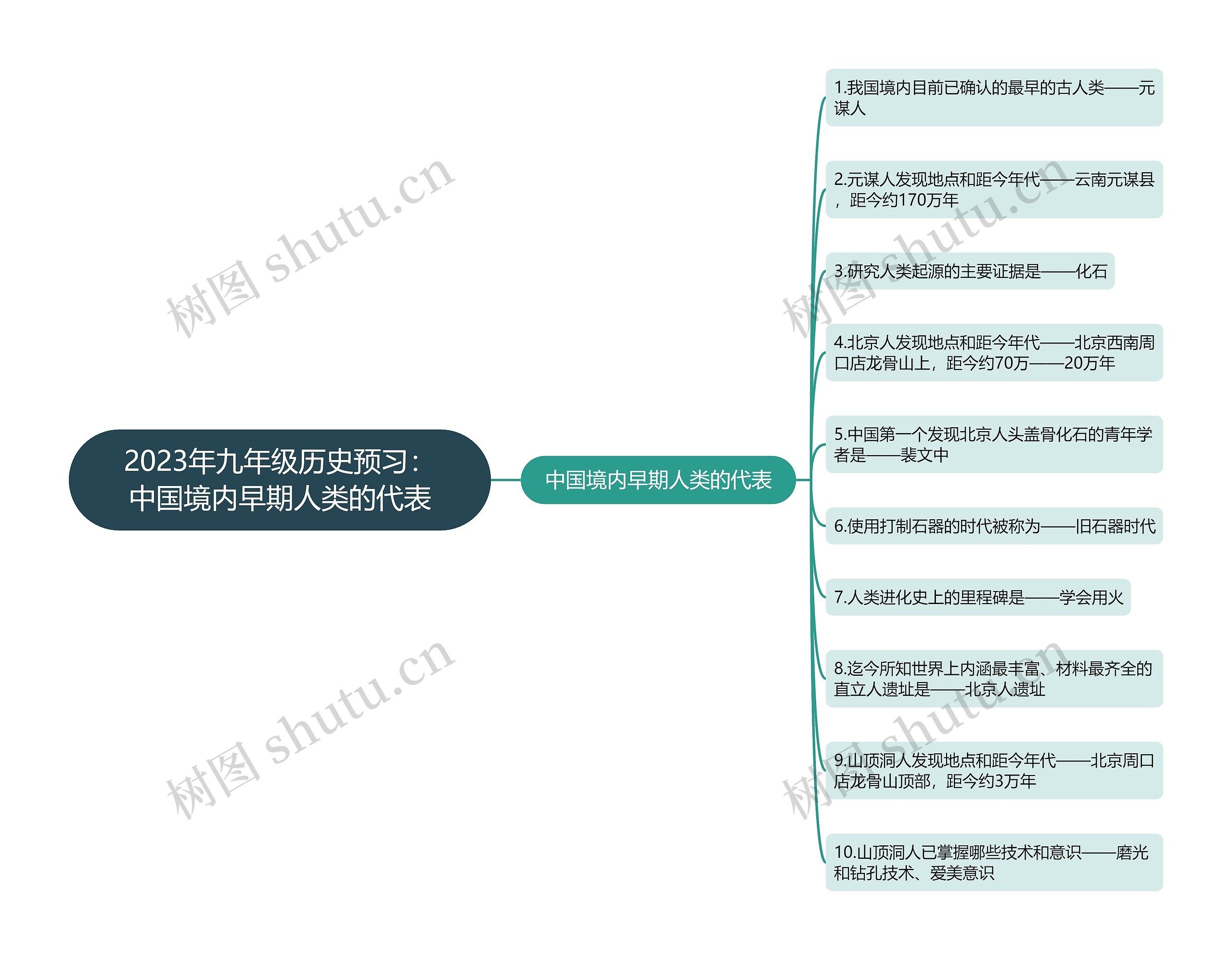 2023年九年级历史预习：中国境内早期人类的代表思维导图