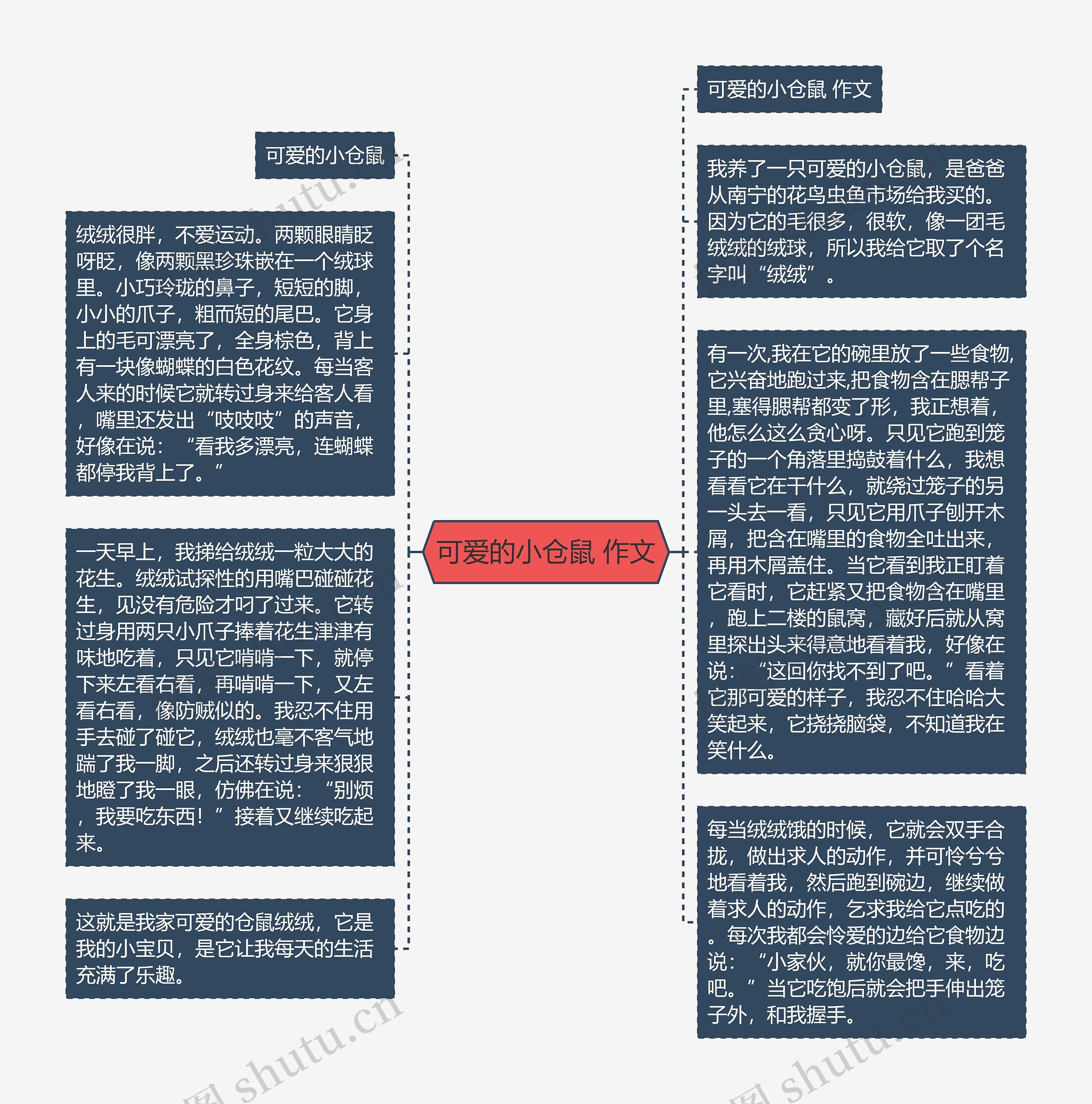 可爱的小仓鼠 作文思维导图