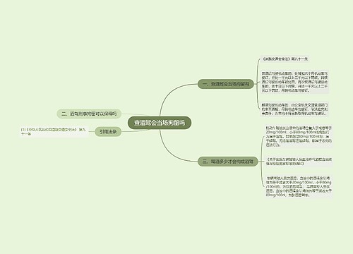 查酒驾会当场拘留吗