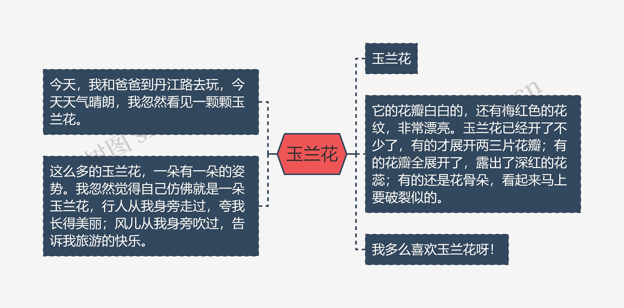 玉兰花思维导图