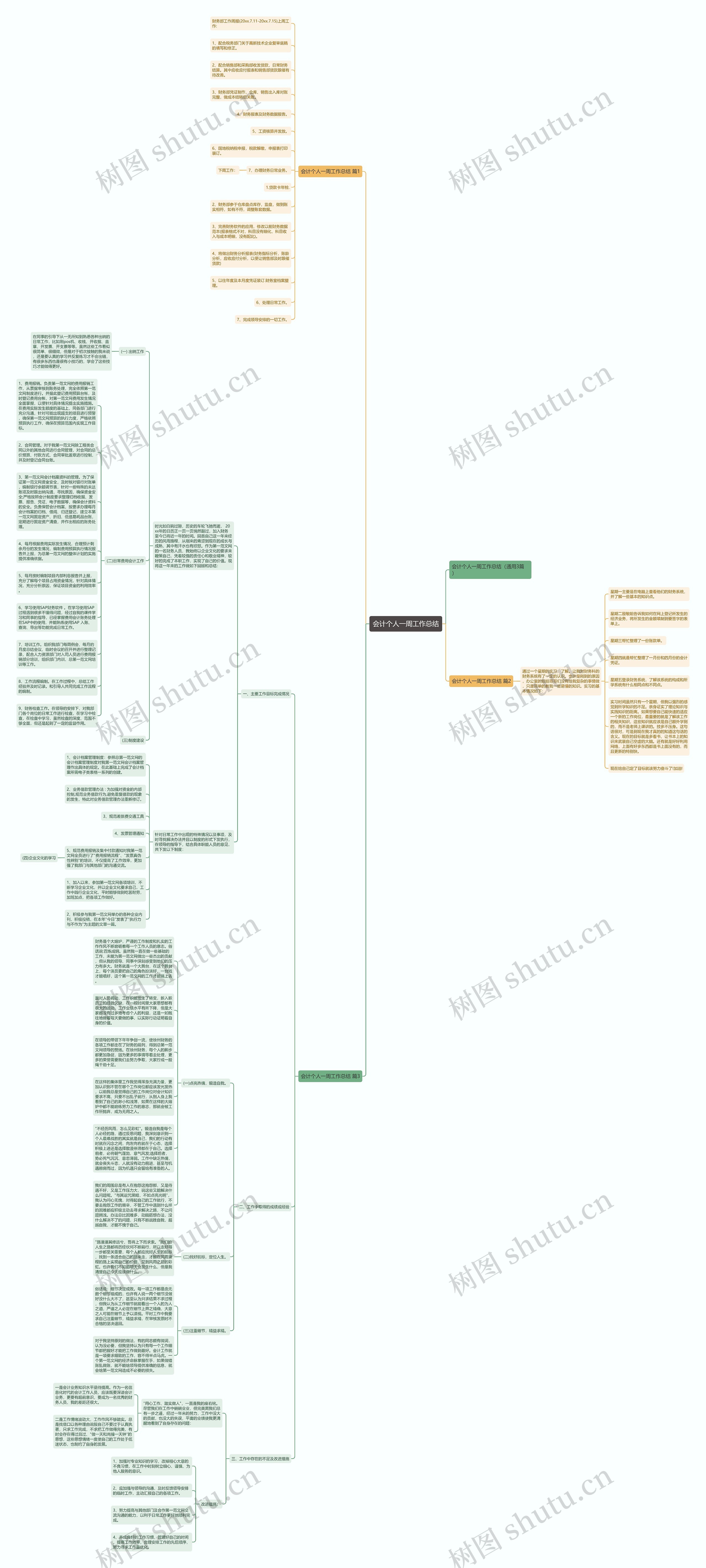 会计个人一周工作总结思维导图