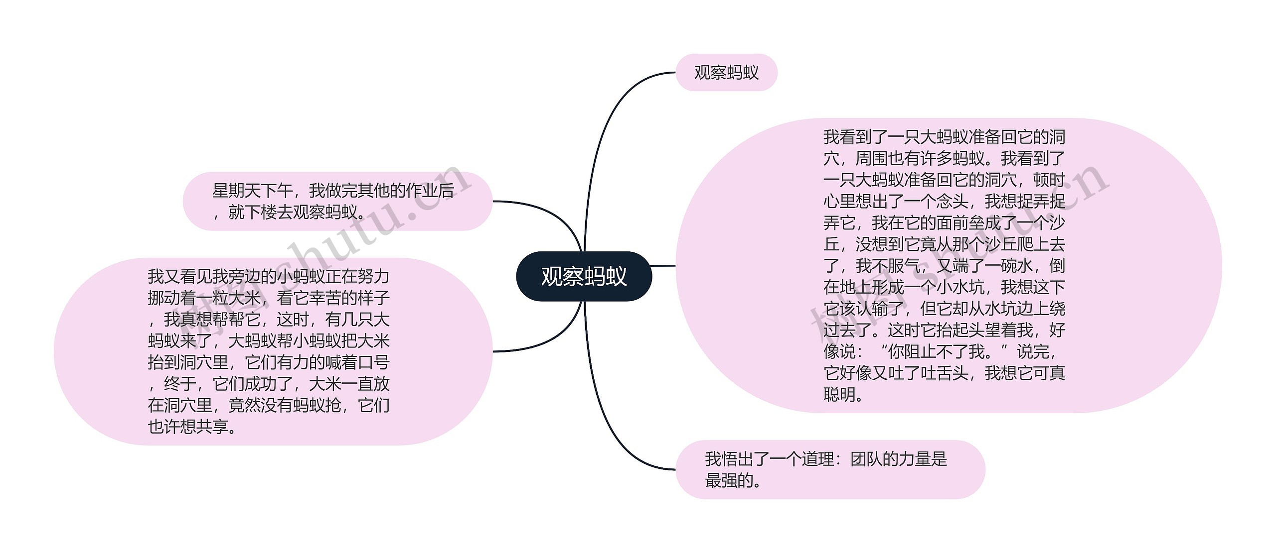 观察蚂蚁思维导图