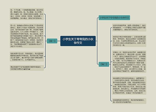 小学生关于夸夸我的小伙伴作文