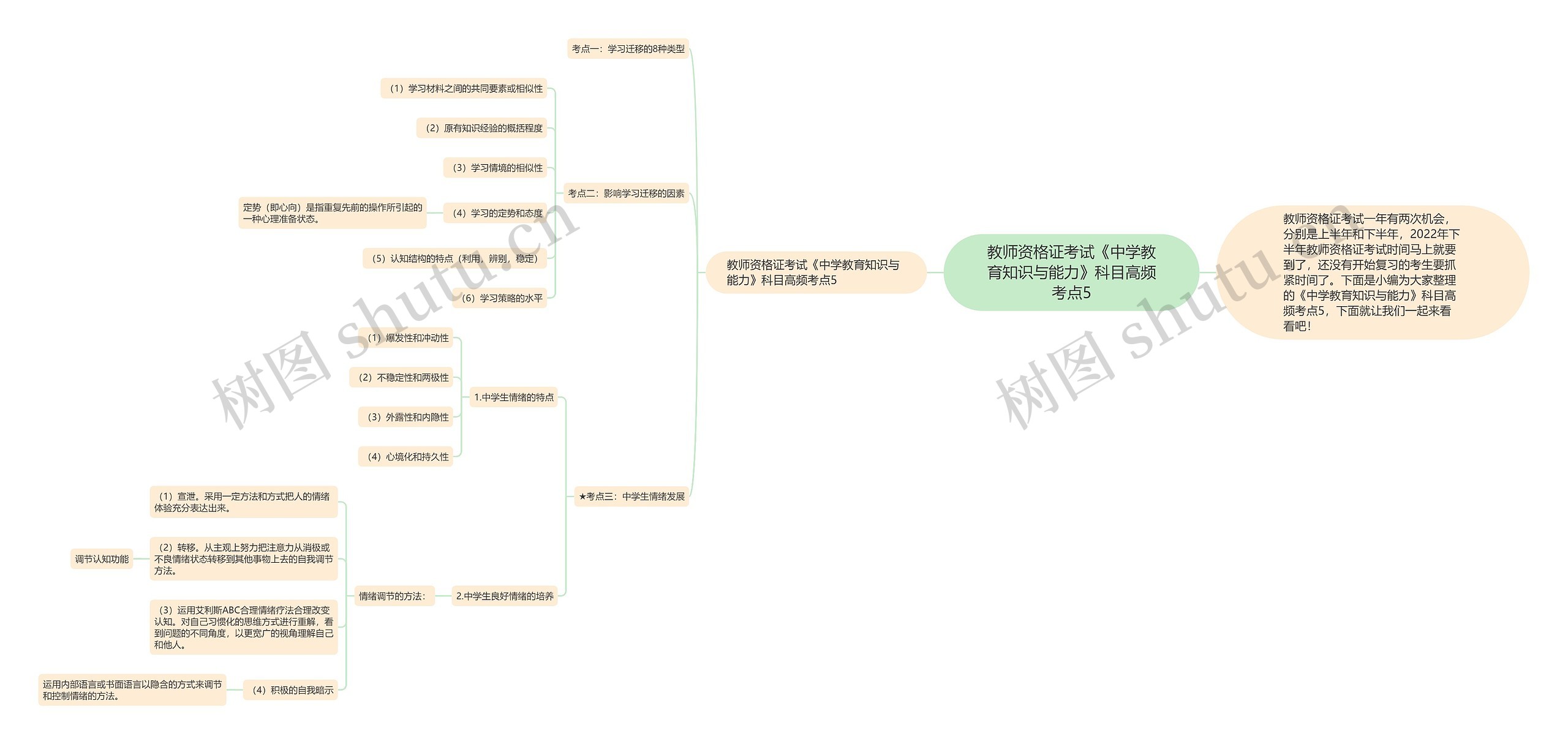 教师资格证考试《中学教育知识与能力》科目高频考点5思维导图