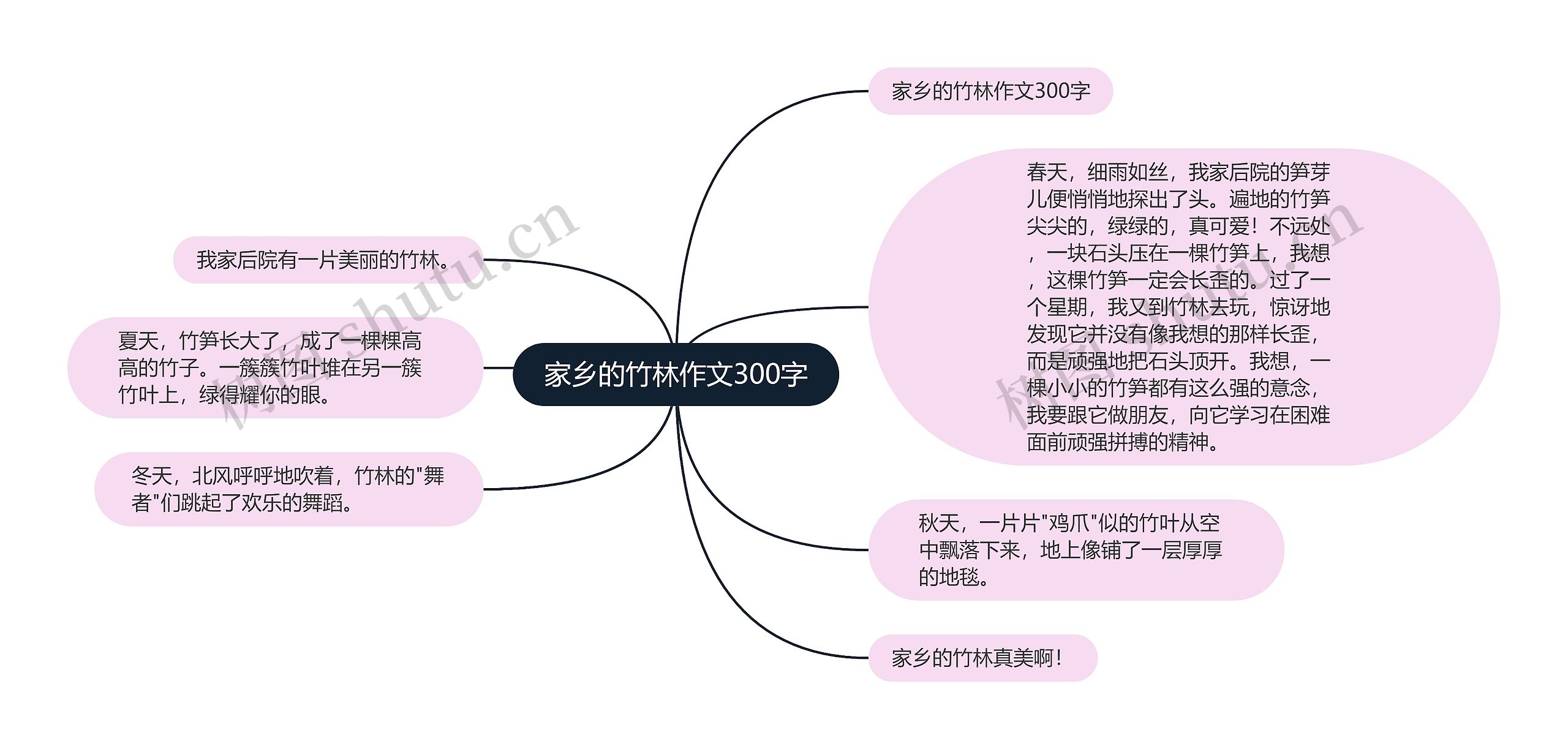 家乡的竹林作文300字思维导图