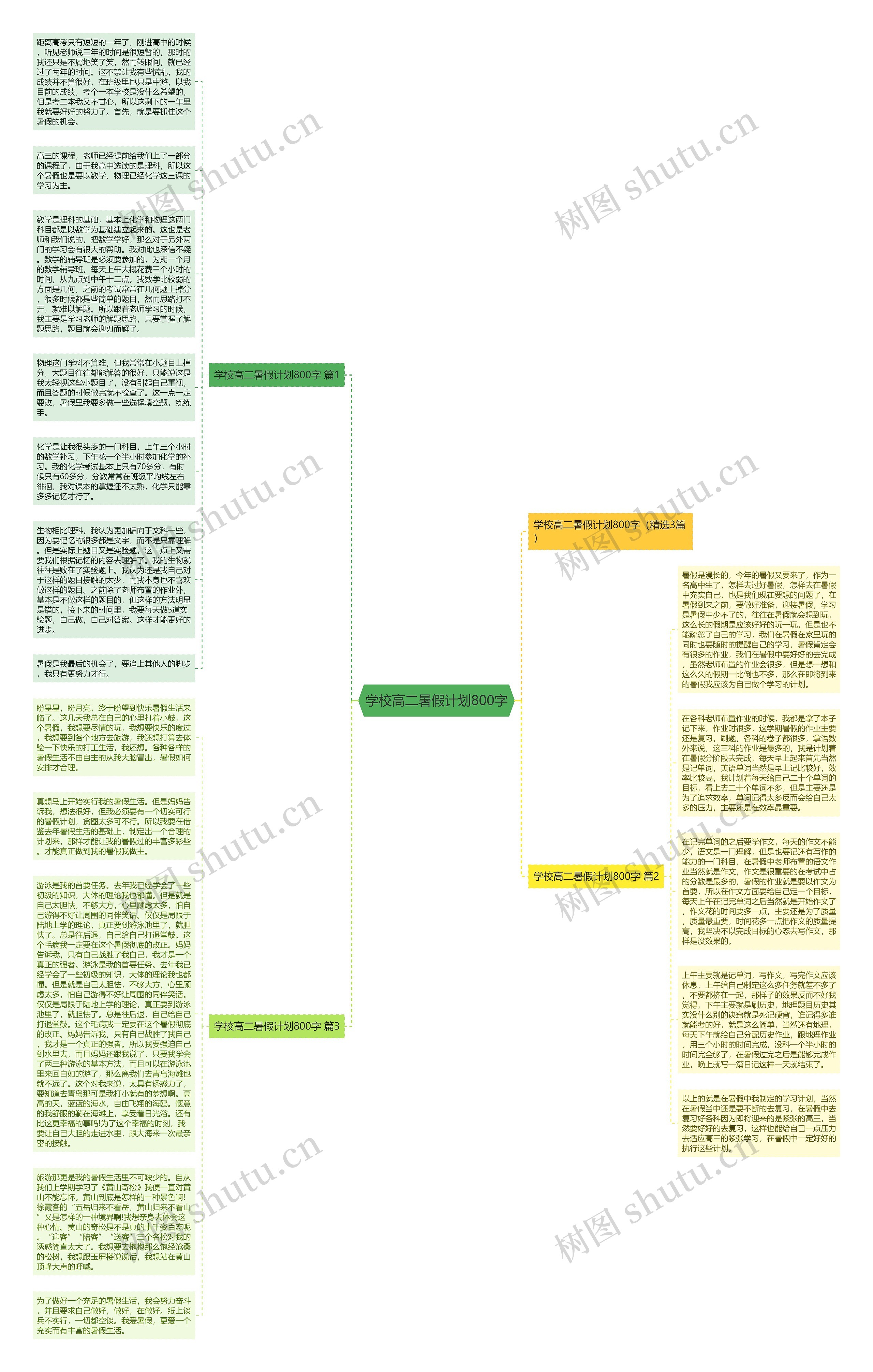 学校高二暑假计划800字思维导图