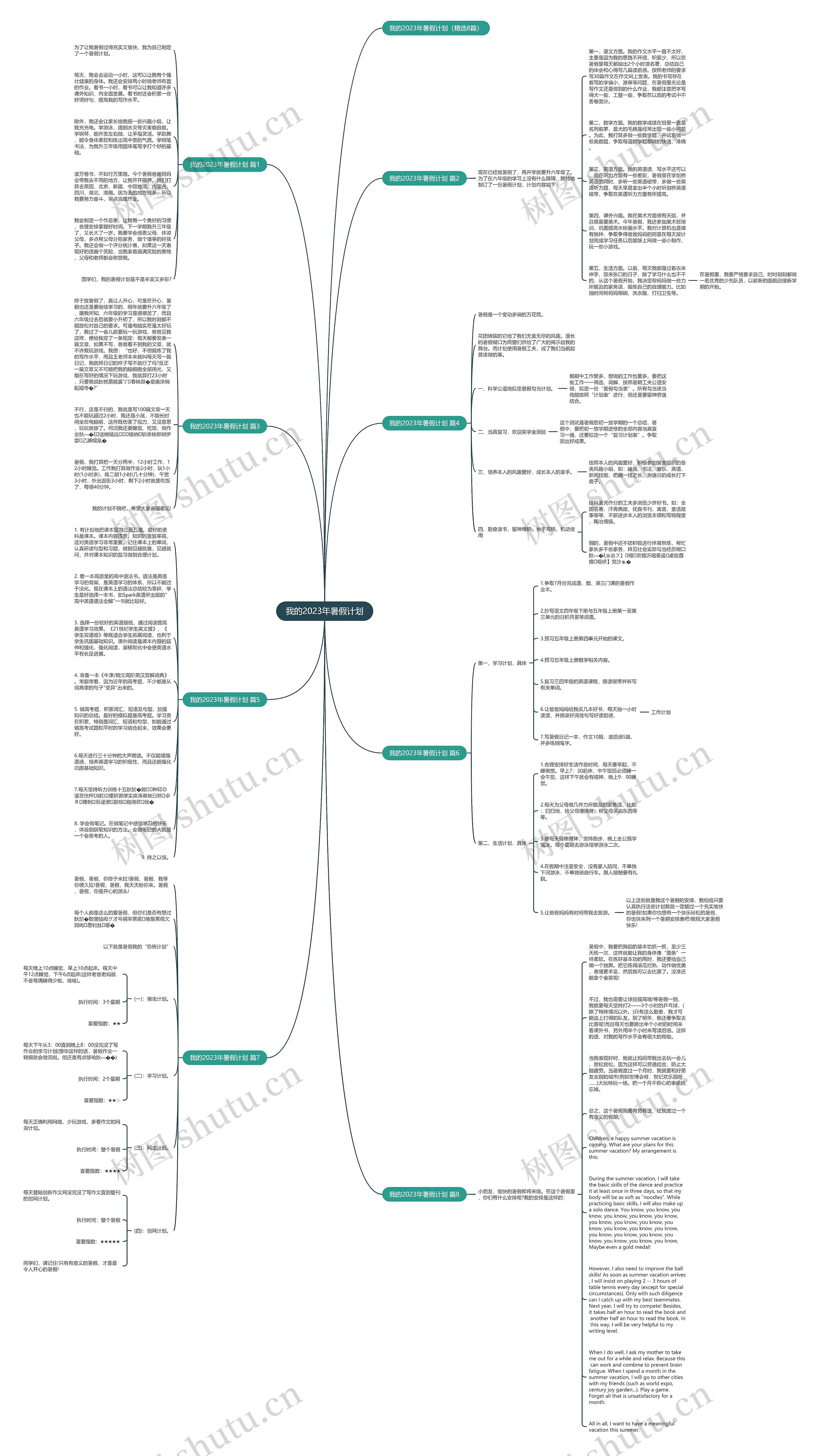 我的2023年暑假计划