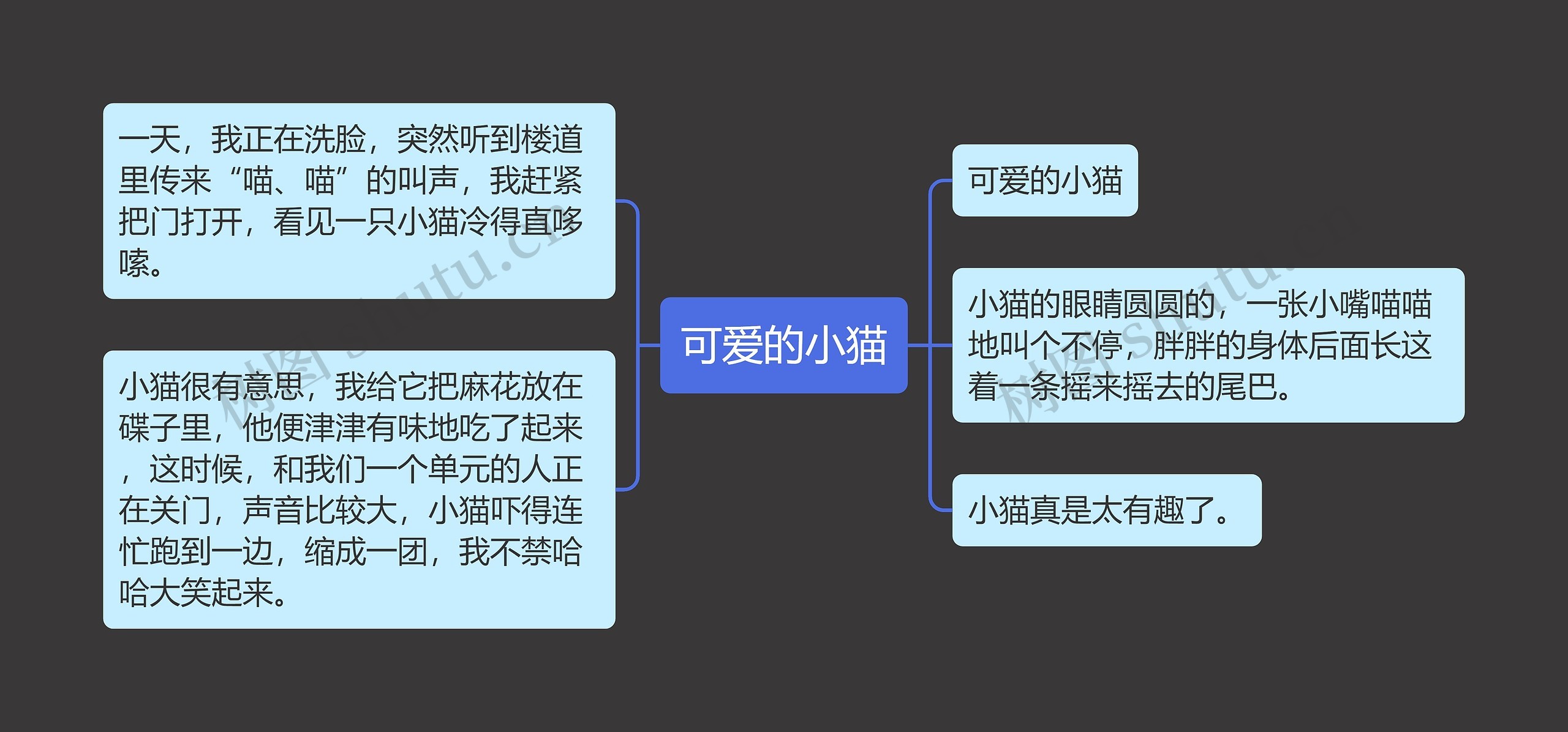 可爱的小猫