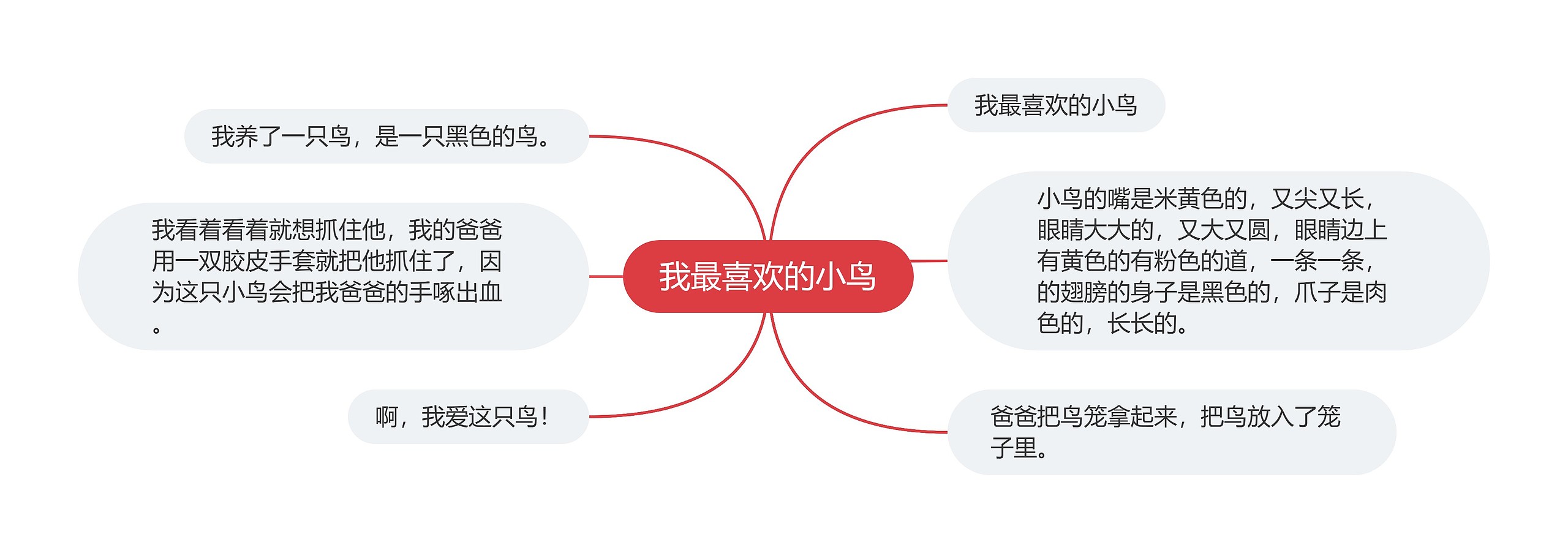 我最喜欢的小鸟