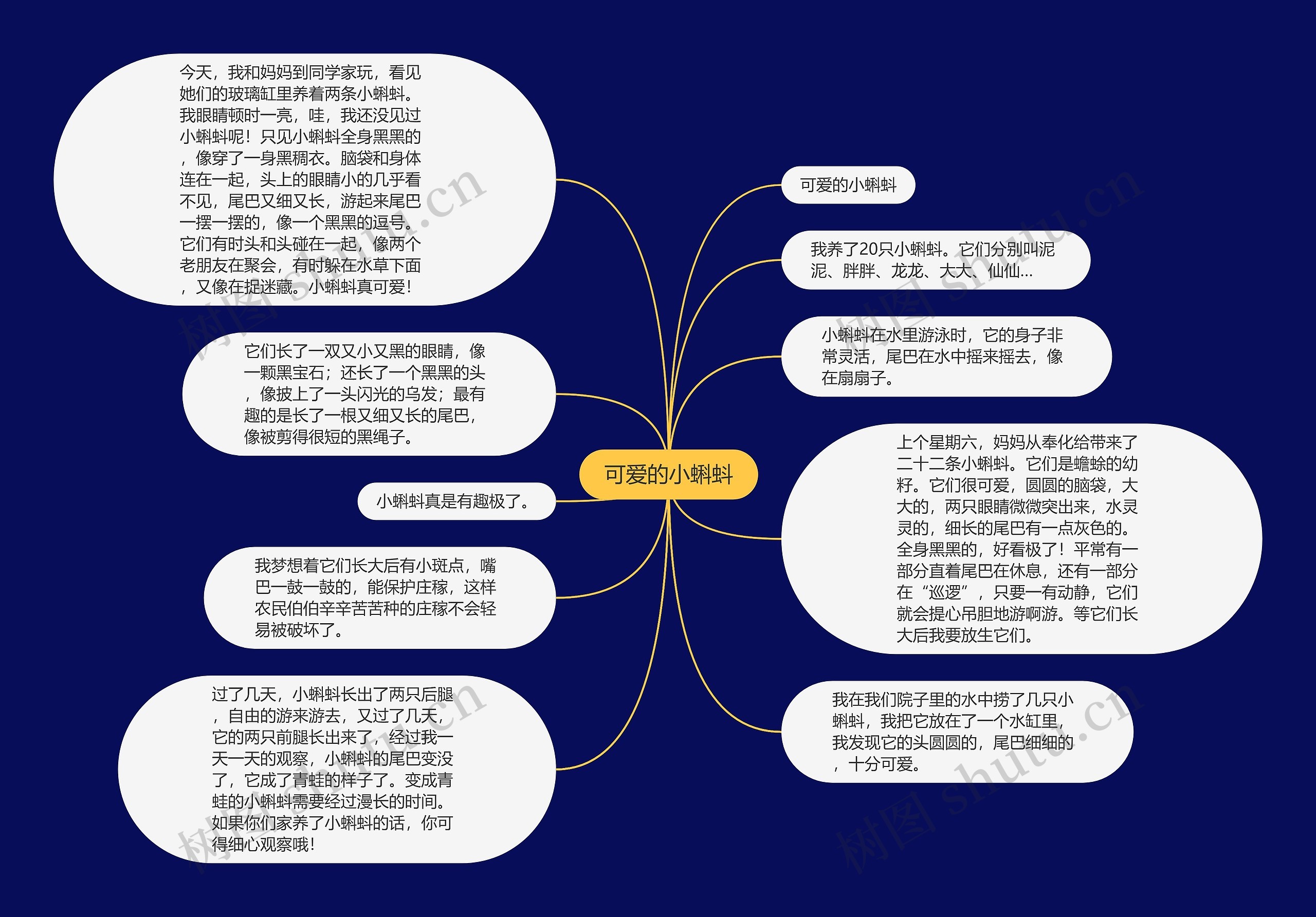 可爱的小蝌蚪思维导图