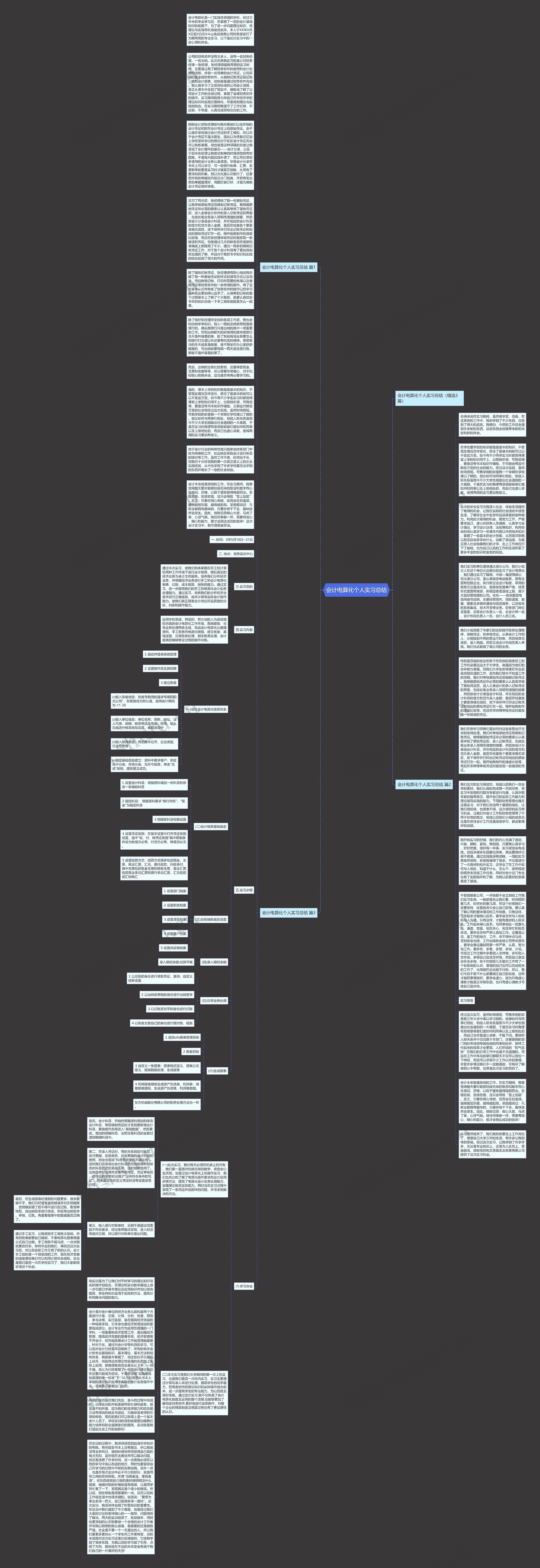 会计电算化个人实习总结思维导图