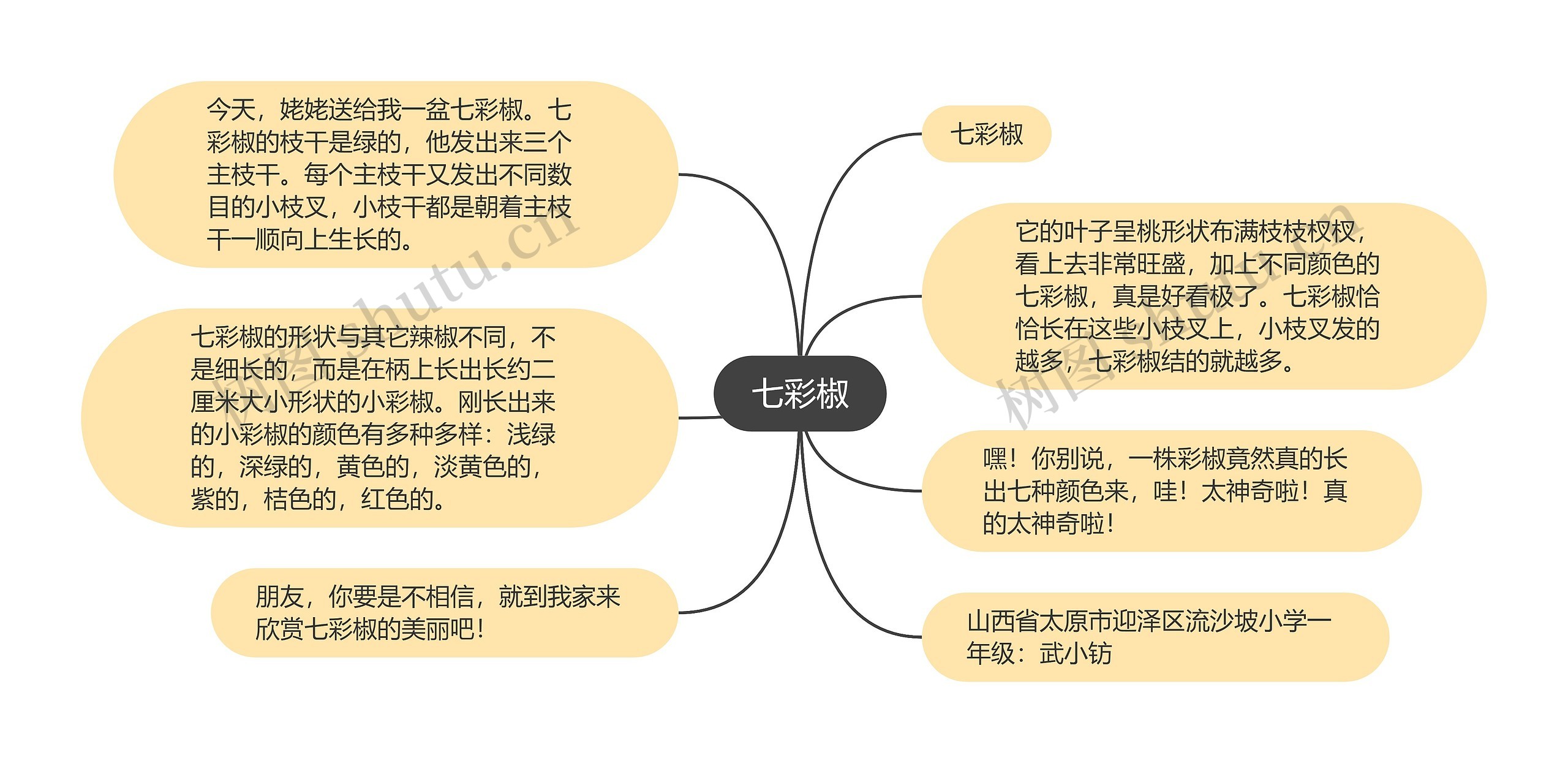 七彩椒思维导图