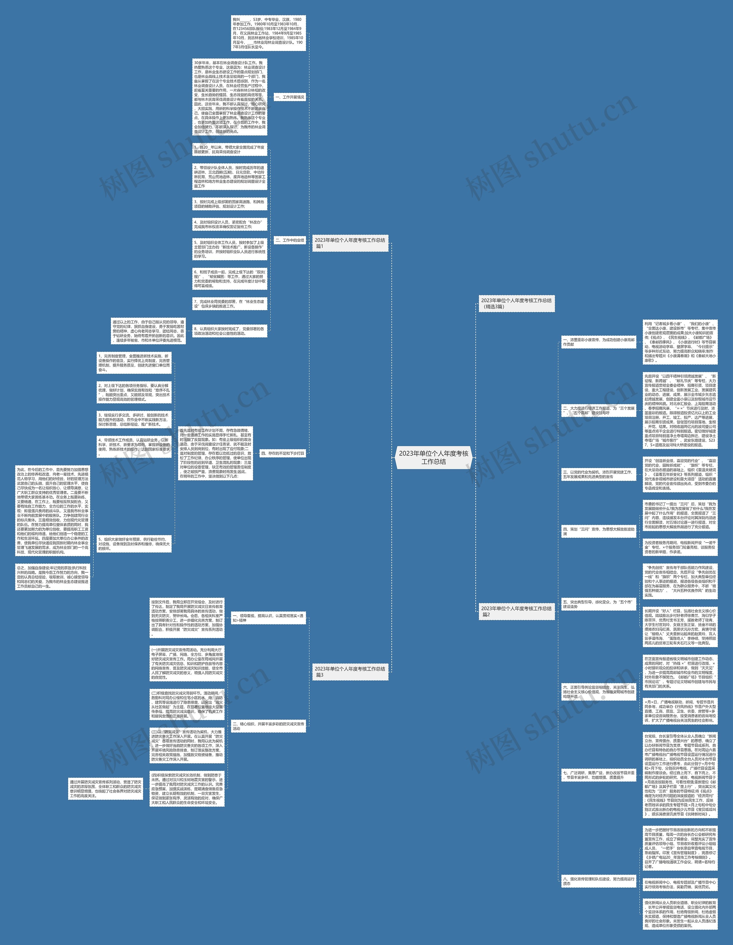 2023年单位个人年度考核工作总结思维导图