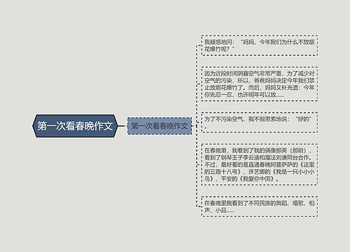 第一次看春晚作文