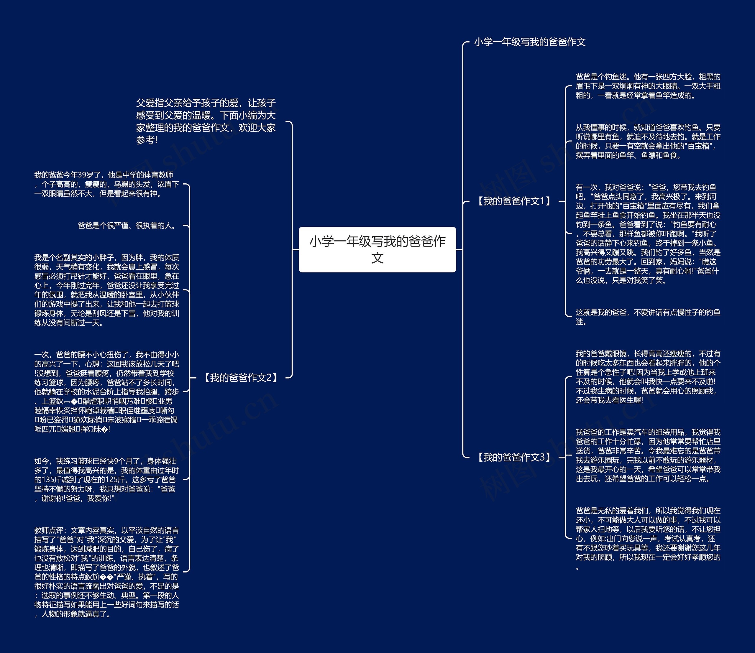 小学一年级写我的爸爸作文思维导图