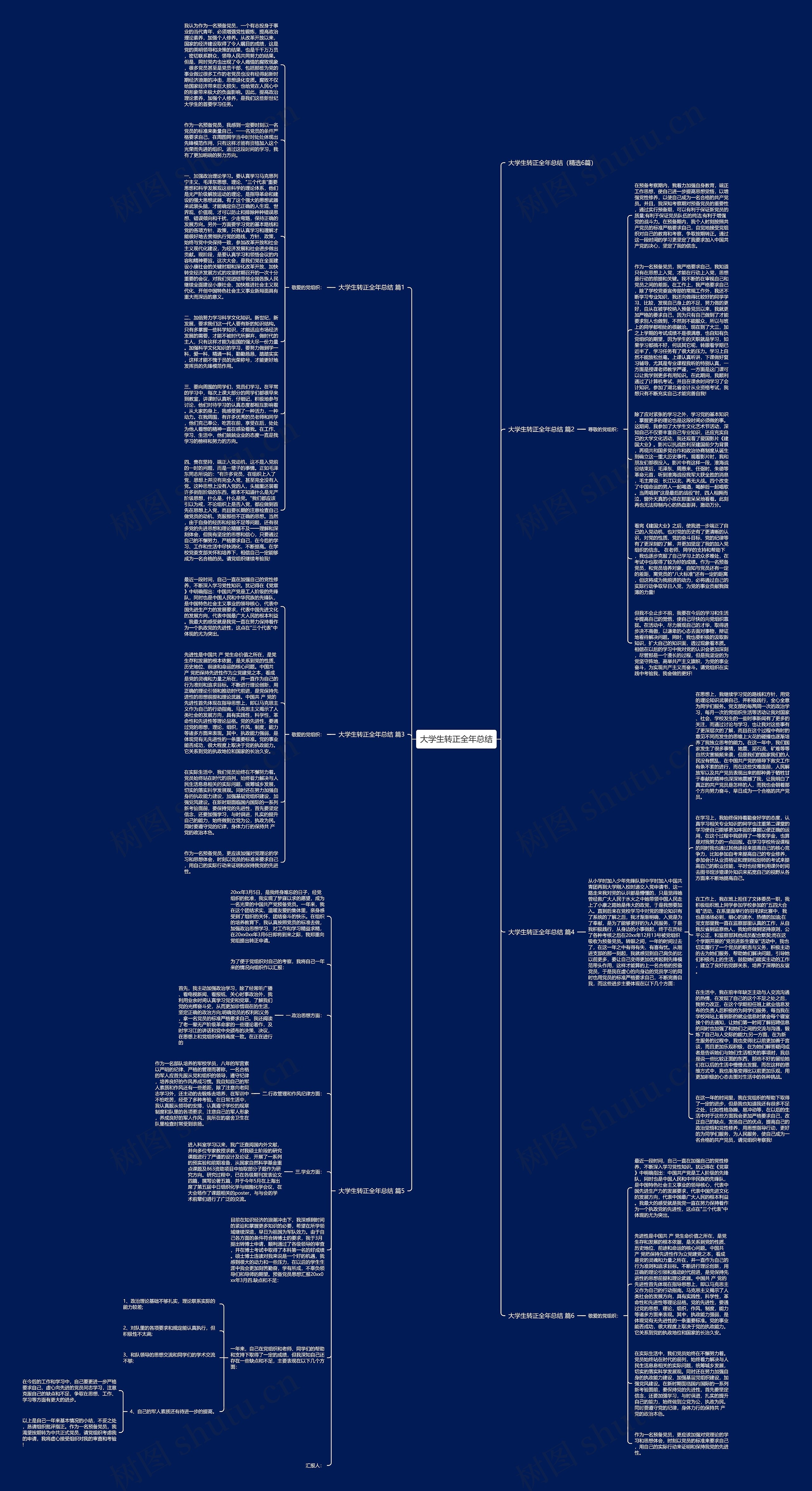 大学生转正全年总结思维导图