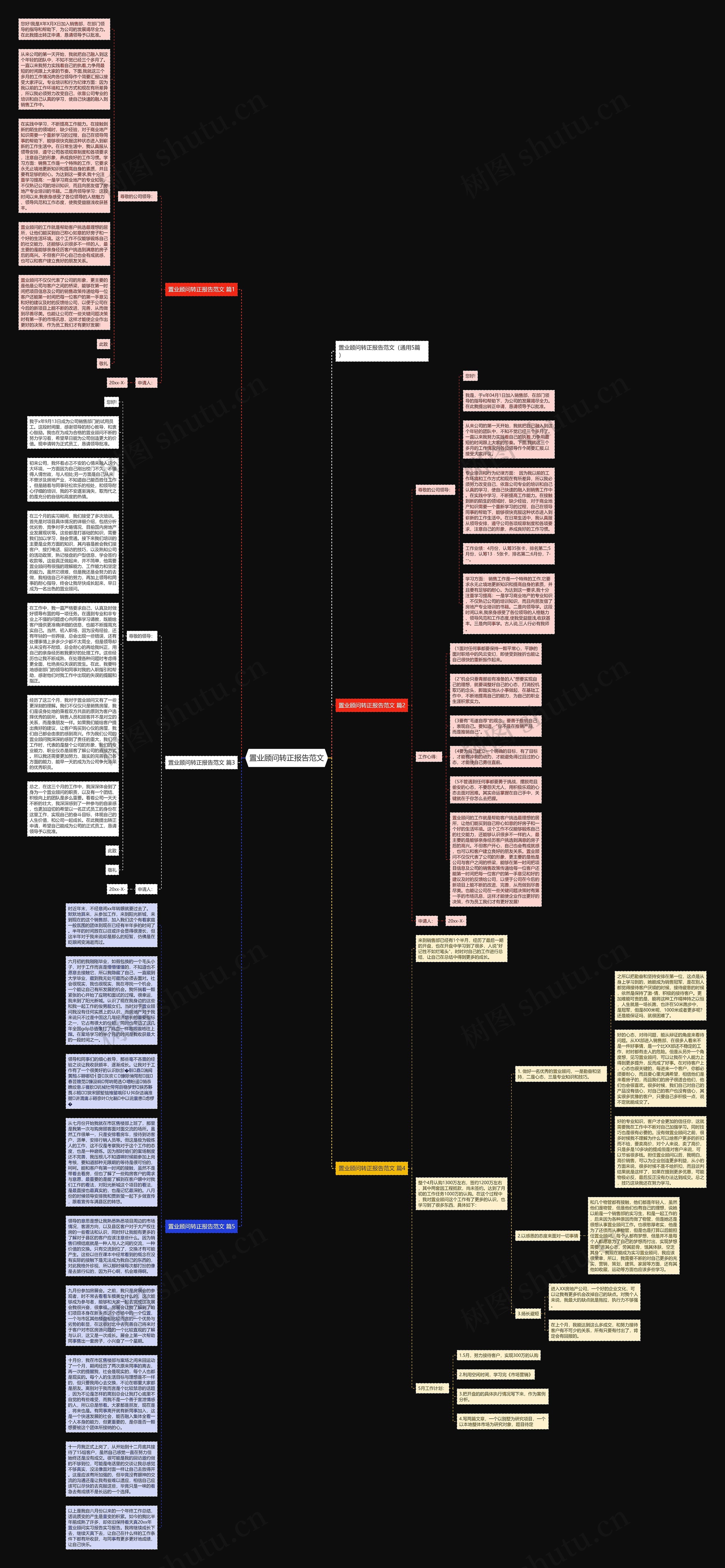 置业顾问转正报告范文思维导图