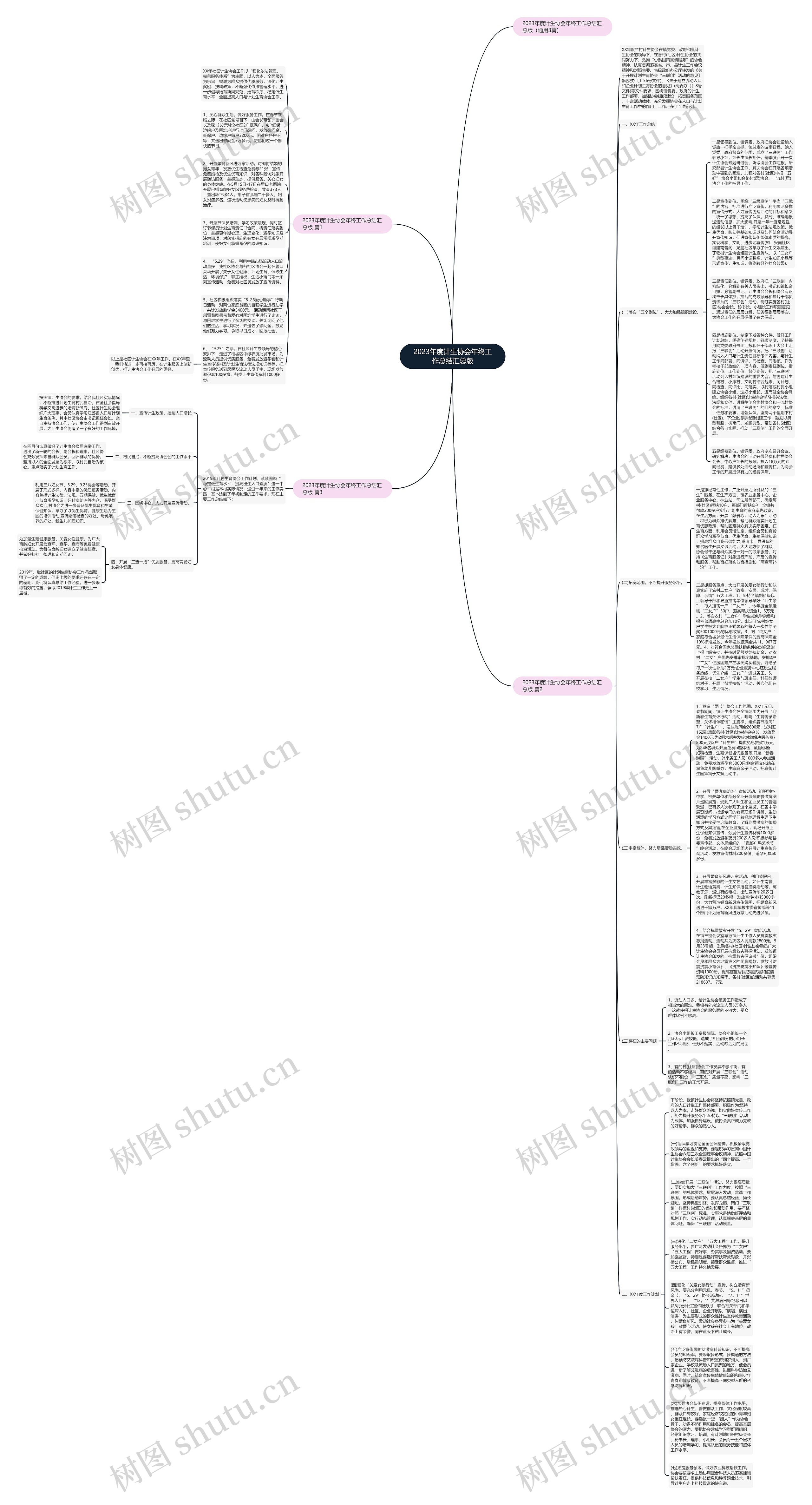 2023年度计生协会年终工作总结汇总版思维导图