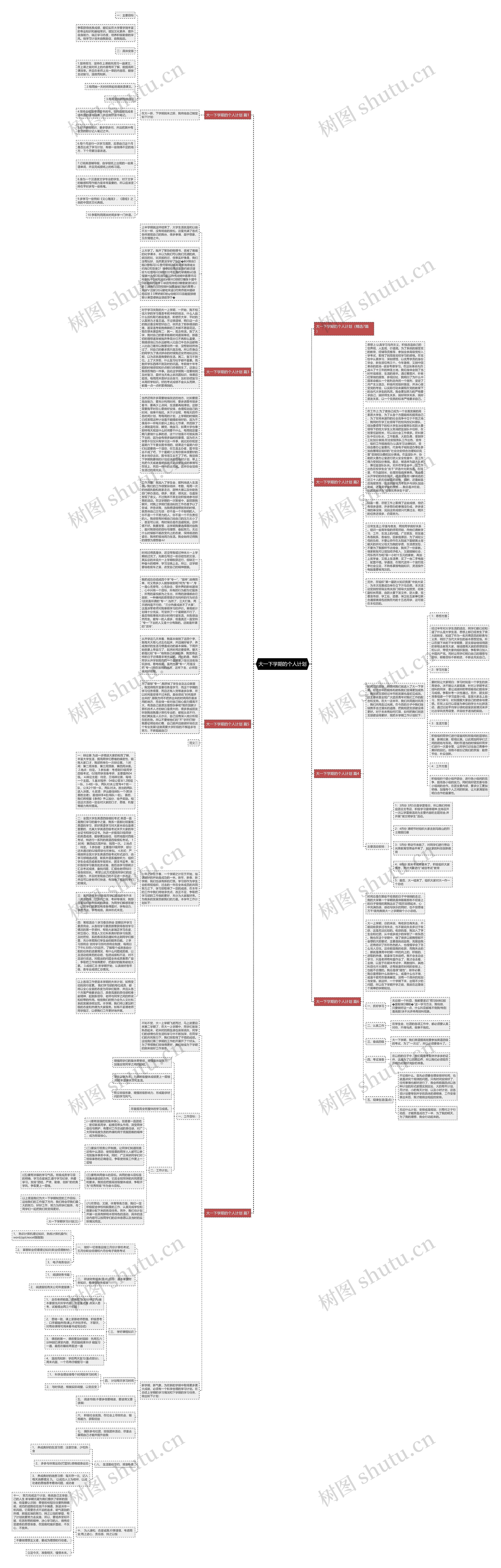 大一下学期的个人计划思维导图