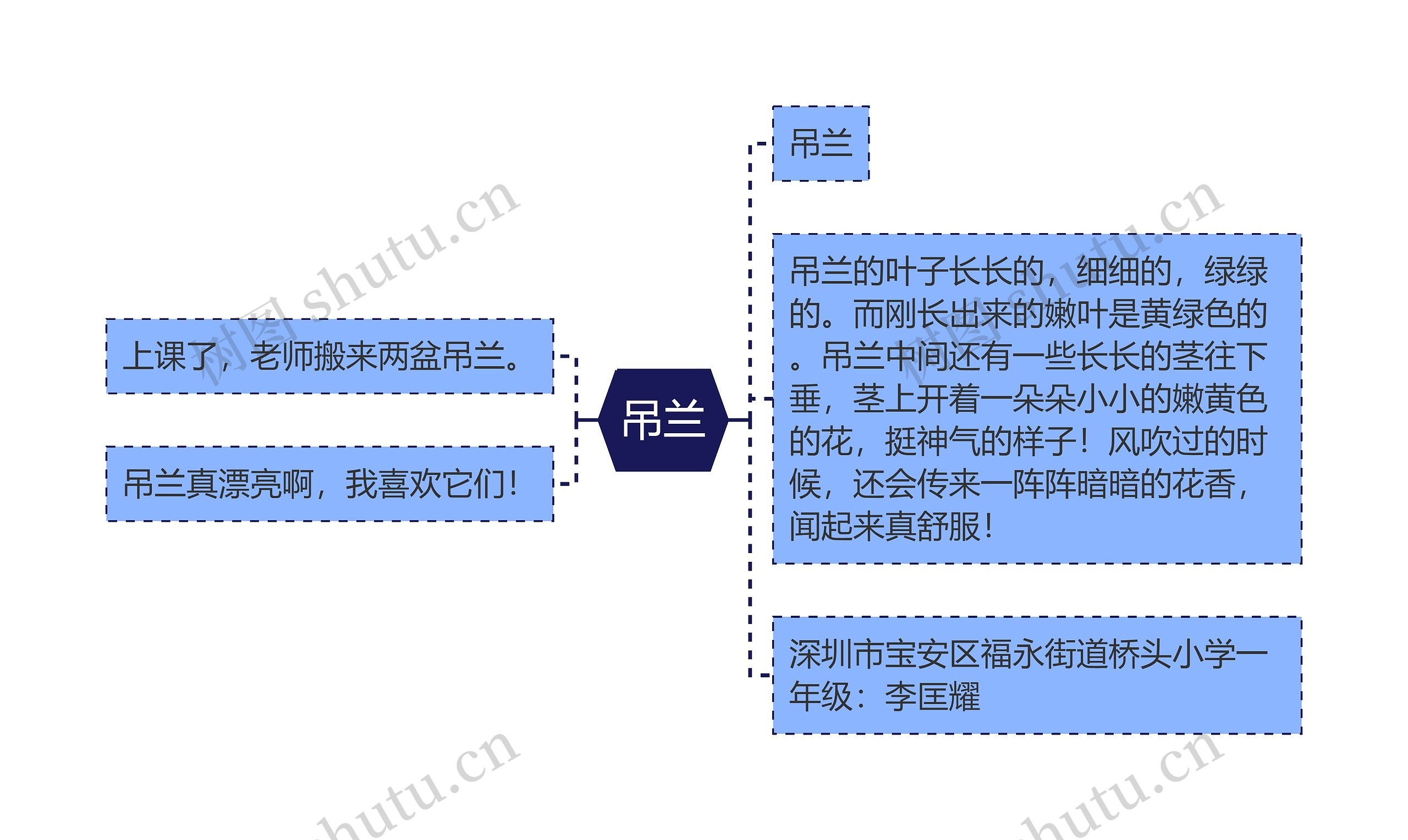 吊兰思维导图