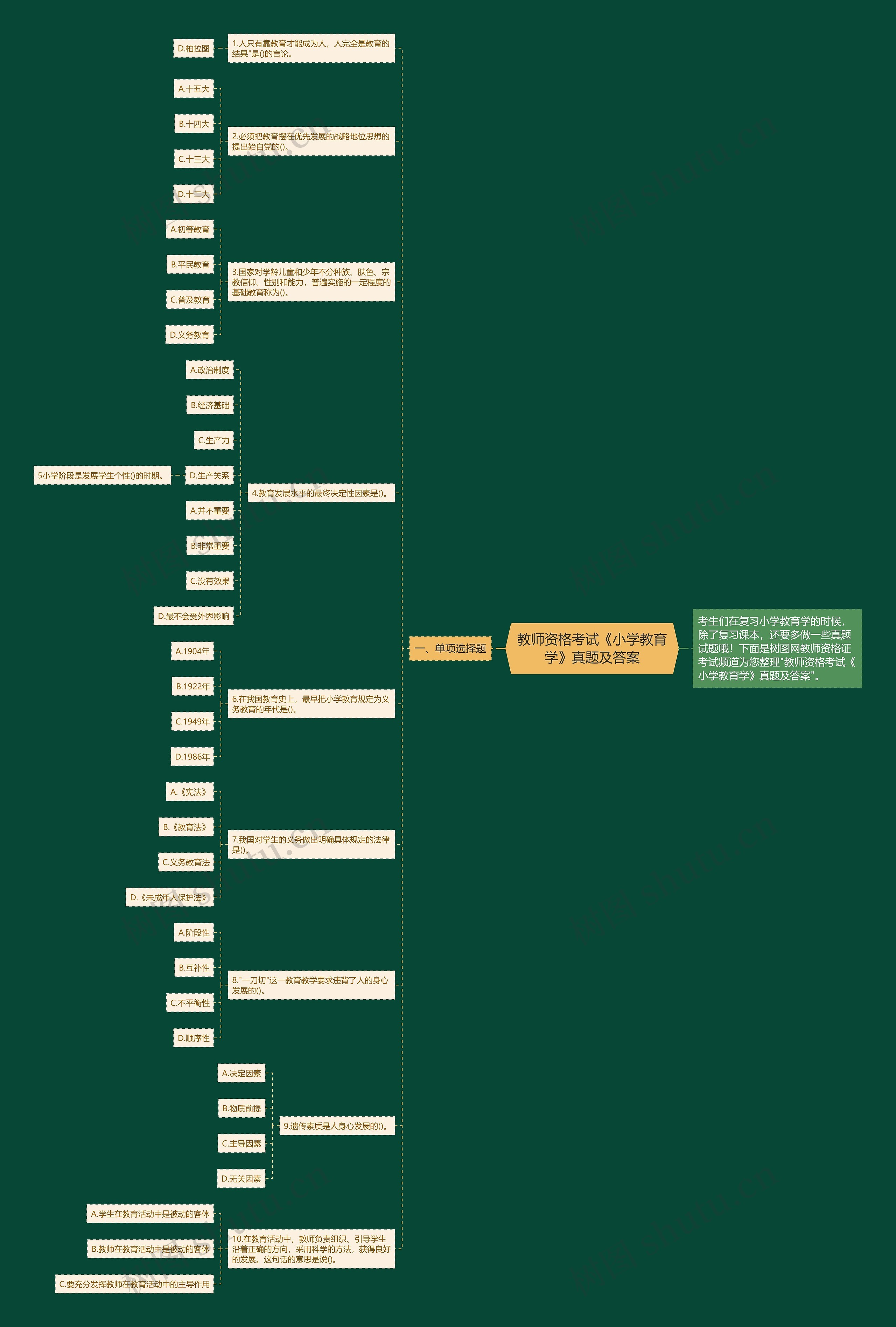 教师资格考试《小学教育学》真题及答案思维导图