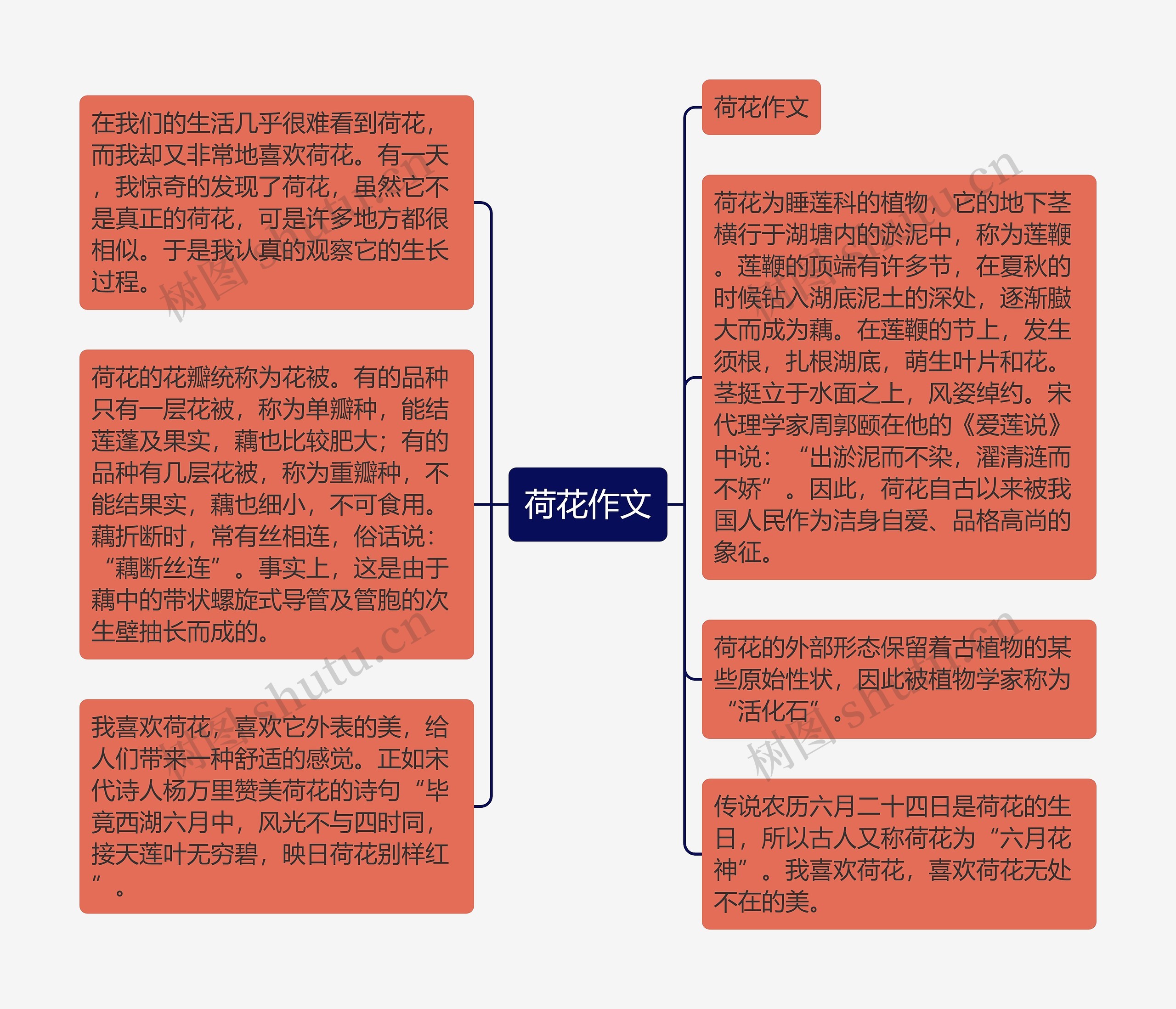 荷花作文思维导图