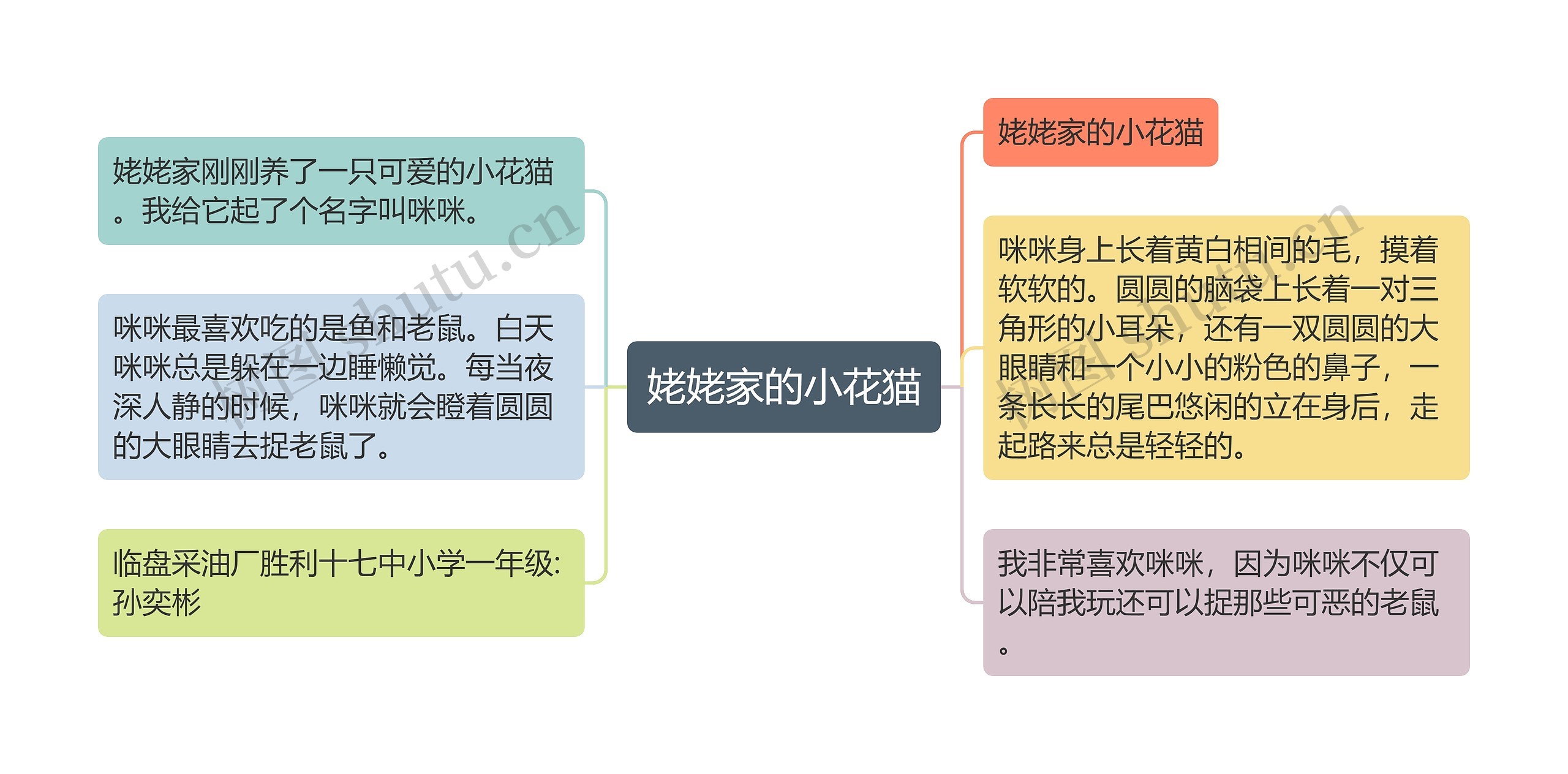 姥姥家的小花猫