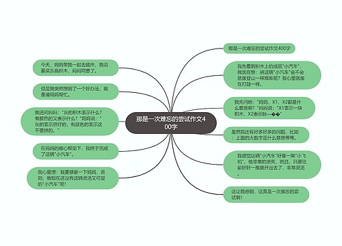 那是一次难忘的尝试作文400字