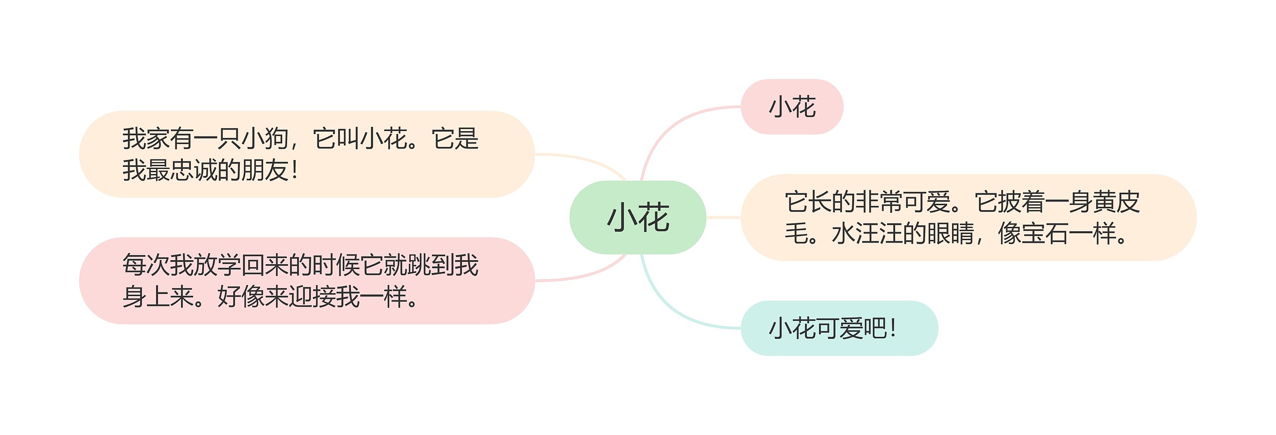 小花思维导图