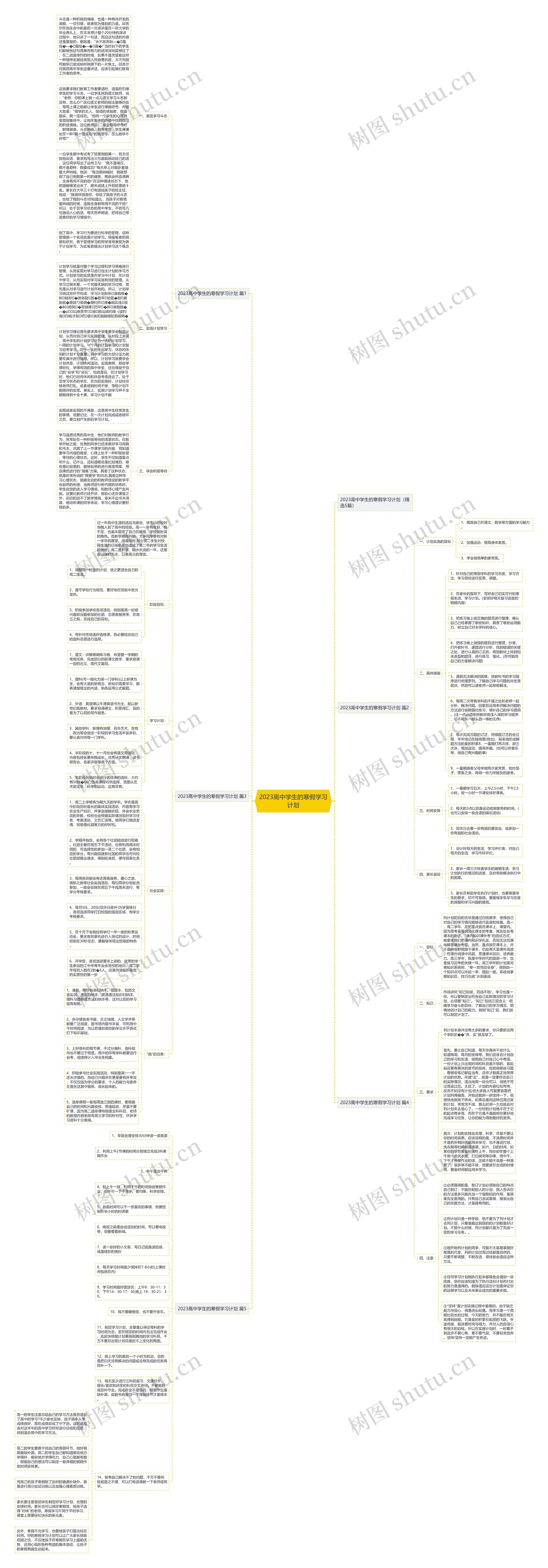 2023高中学生的寒假学习计划思维导图